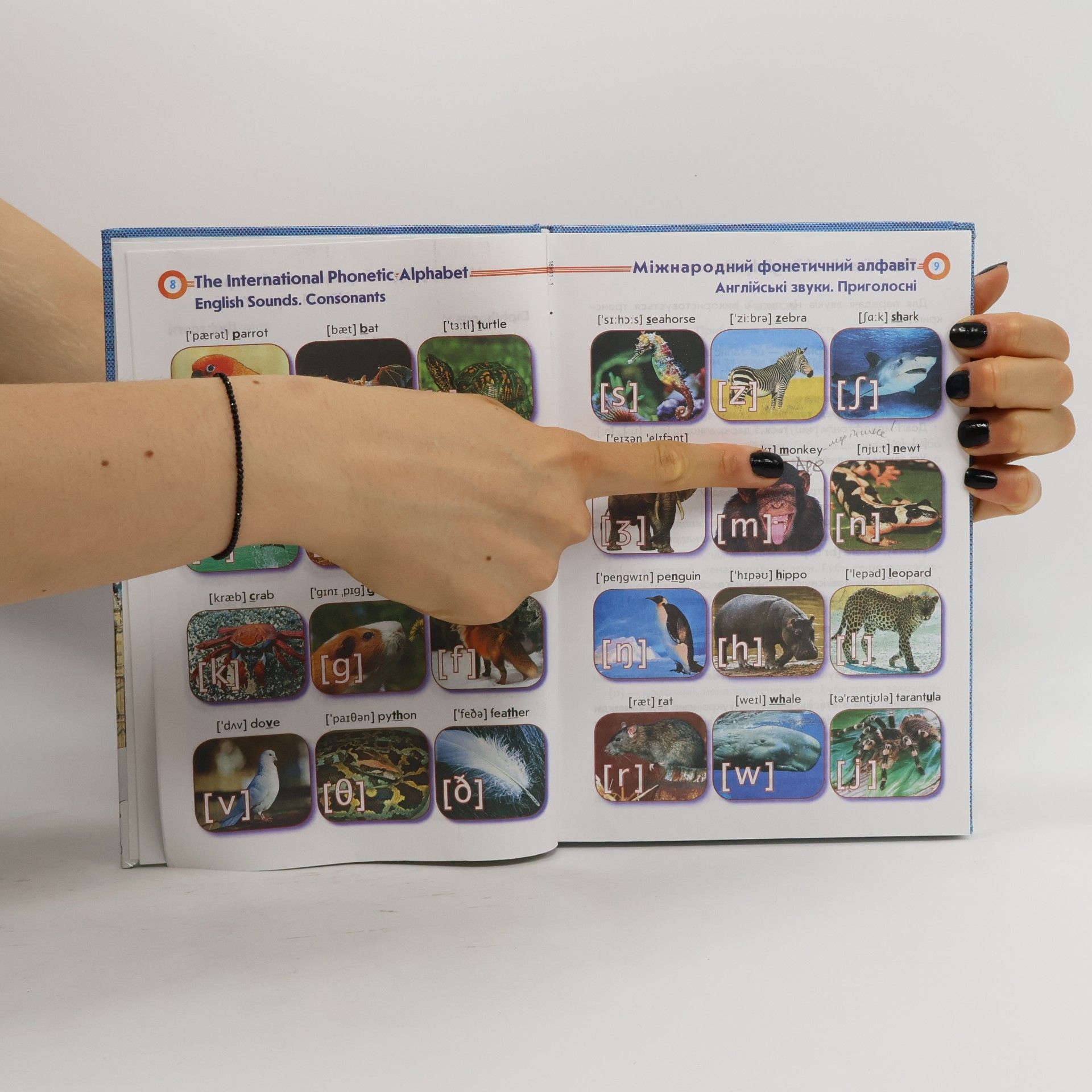 Симанова Альона Іванівна Англо-український словник у малюнках / Picture Dictionary Elementary