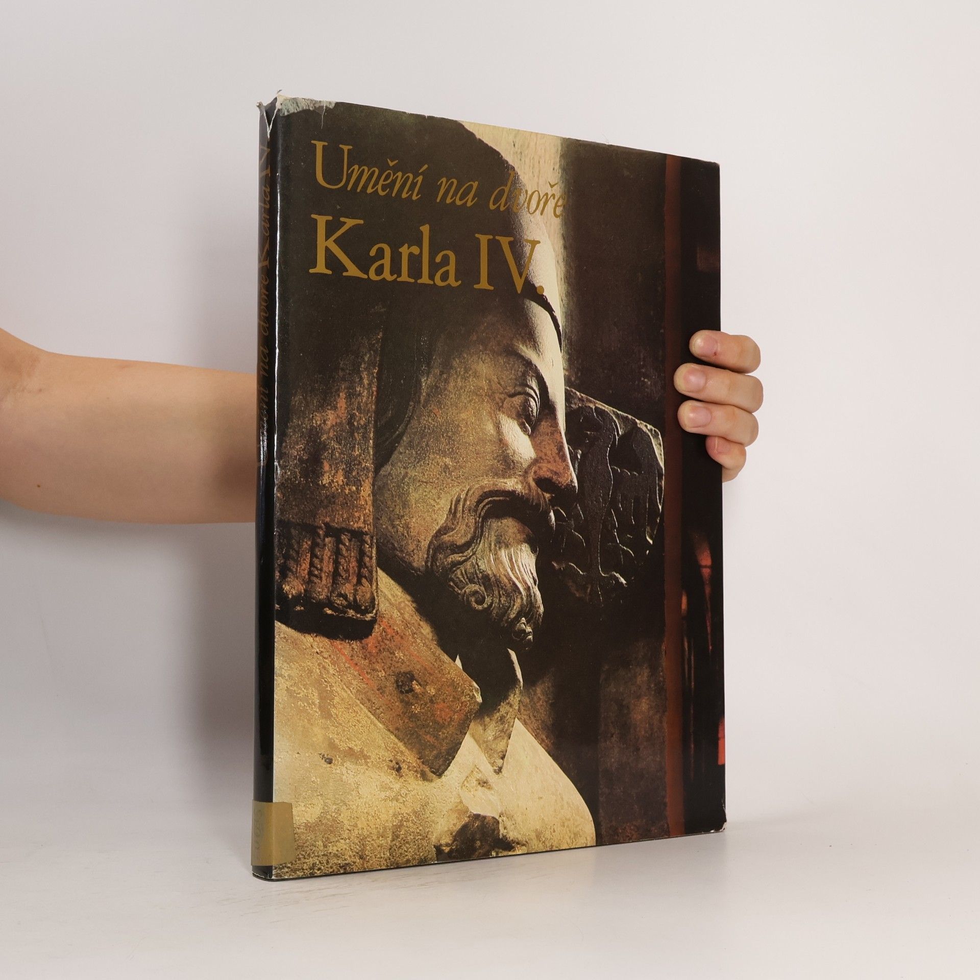 Karel Stejskal Umění na dvoře Karla IV.