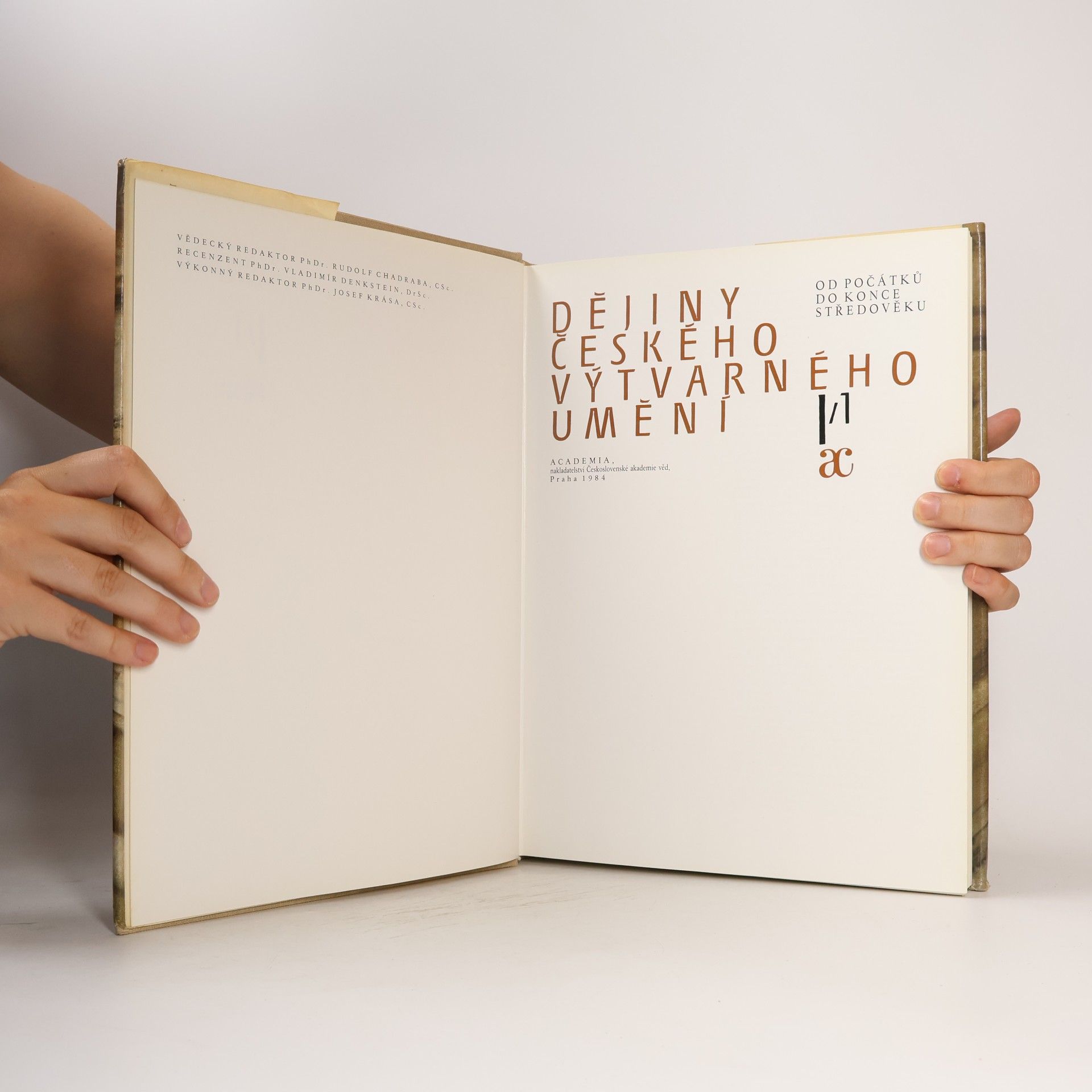 Autorenkollektiv Dějiny českého výtvarného umění I/1