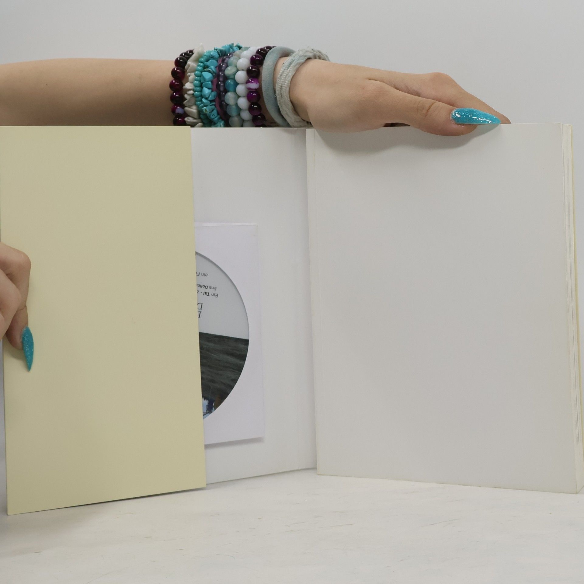 Birgit-Sabine Sommer Der Graben / Grapa