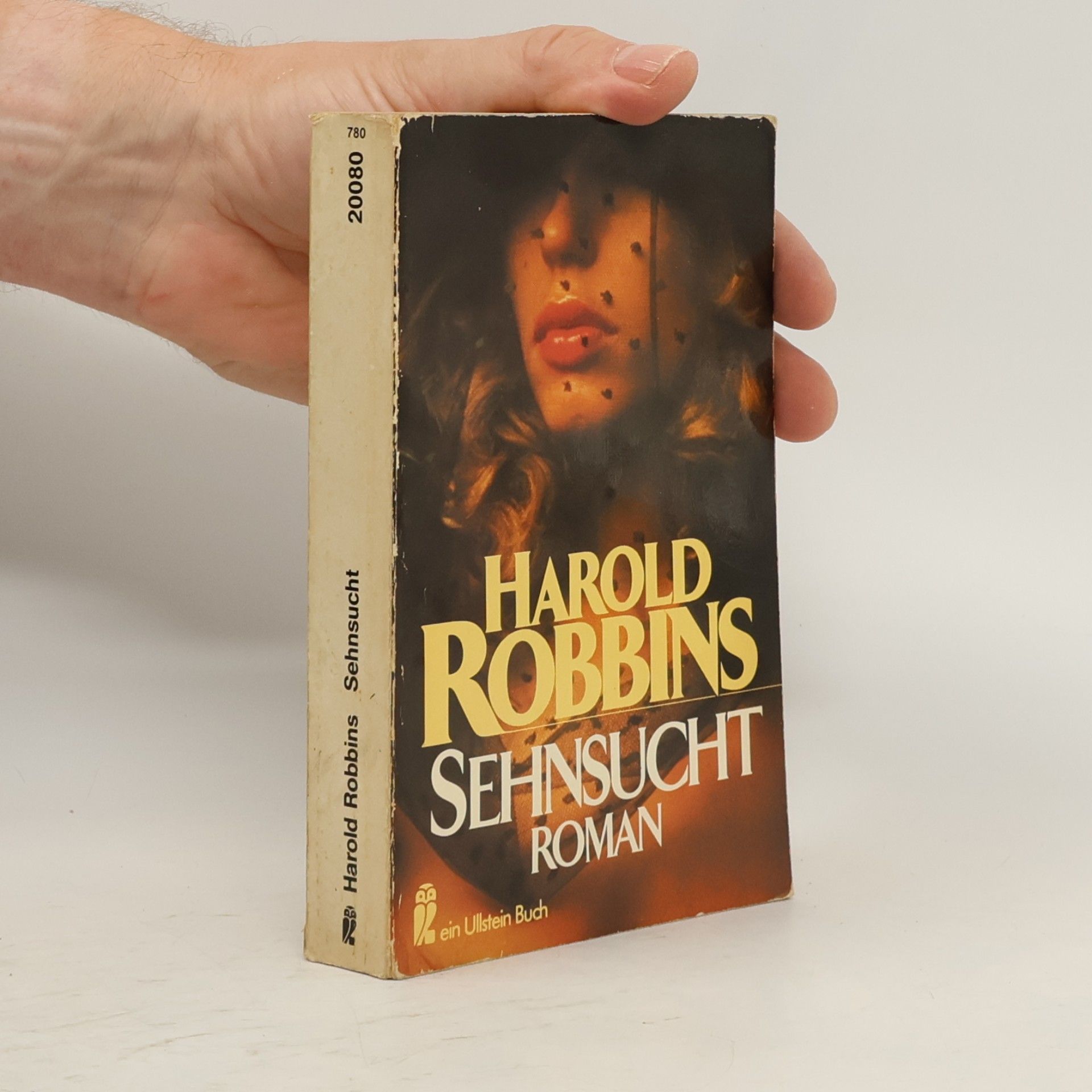 Harold Robbins Sehnsucht