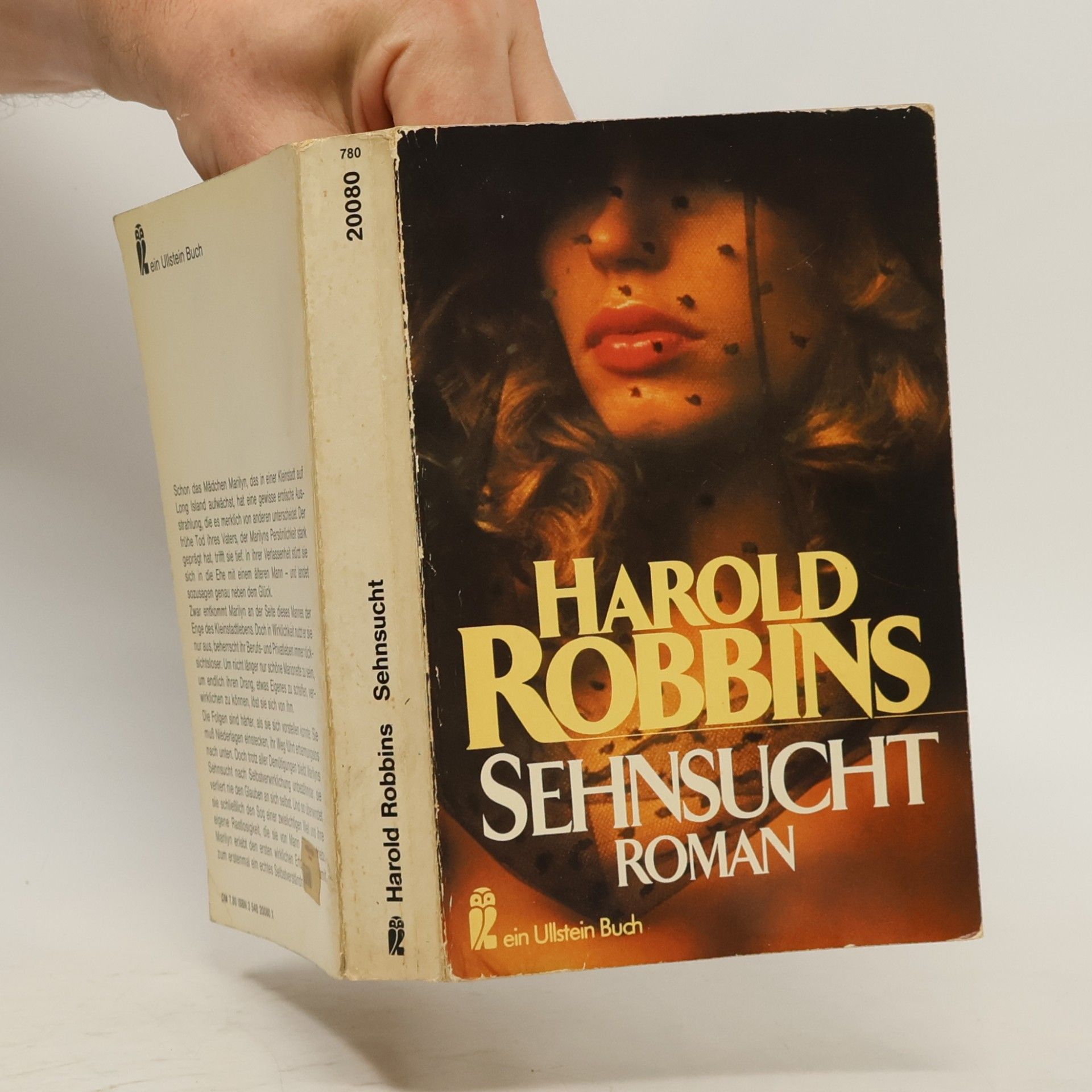 Harold Robbins Sehnsucht