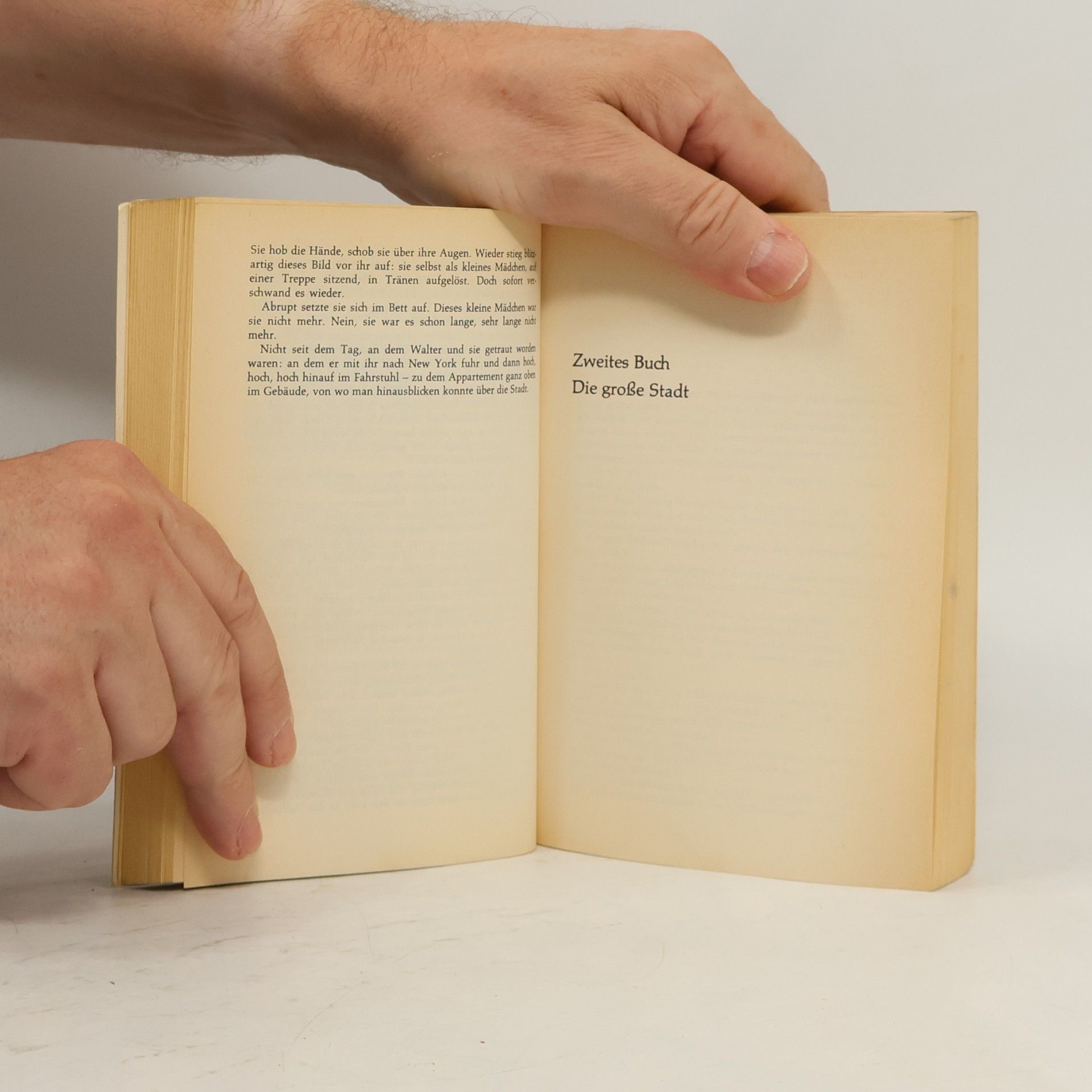 Harold Robbins Sehnsucht