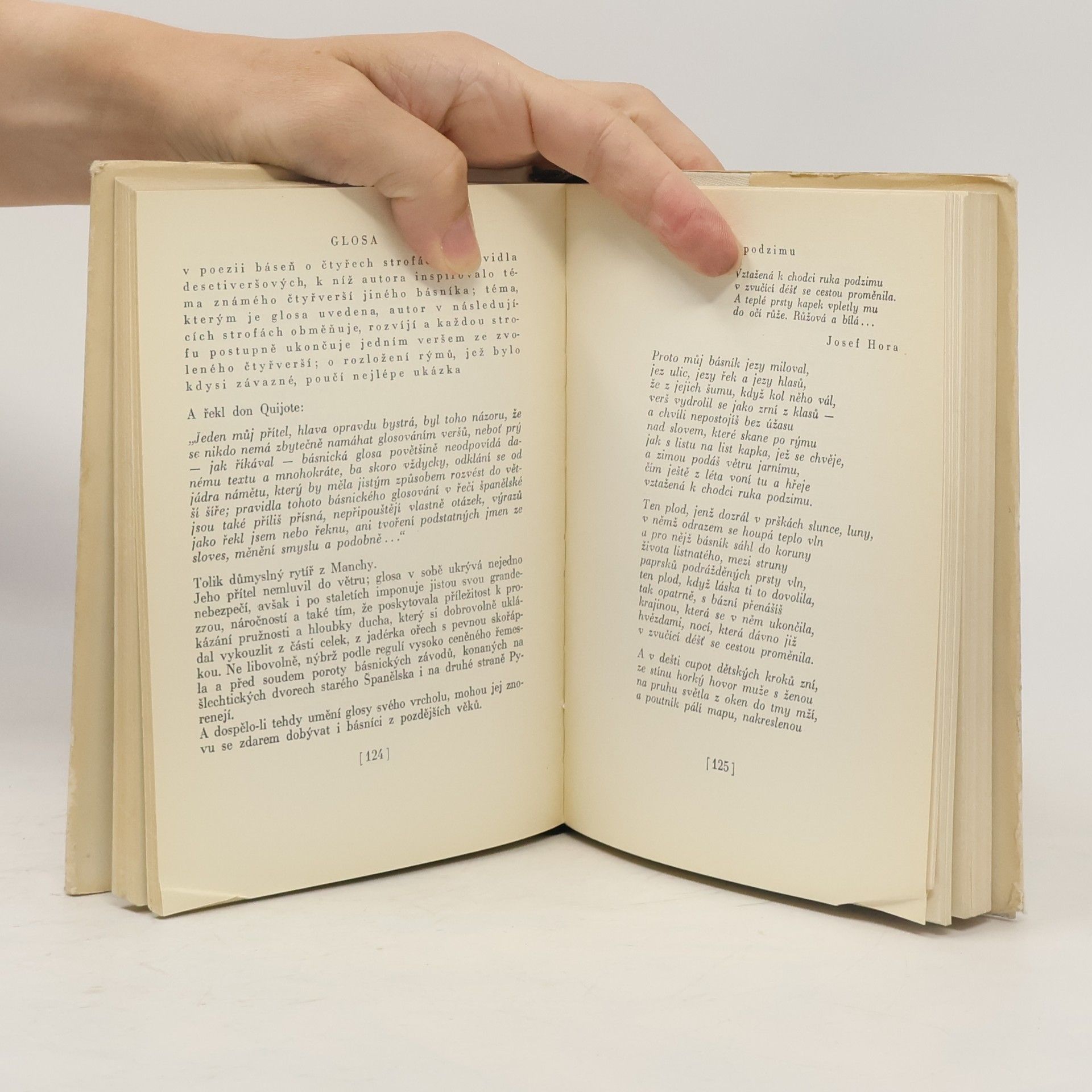 Josef Brukner Větší poetický slovník