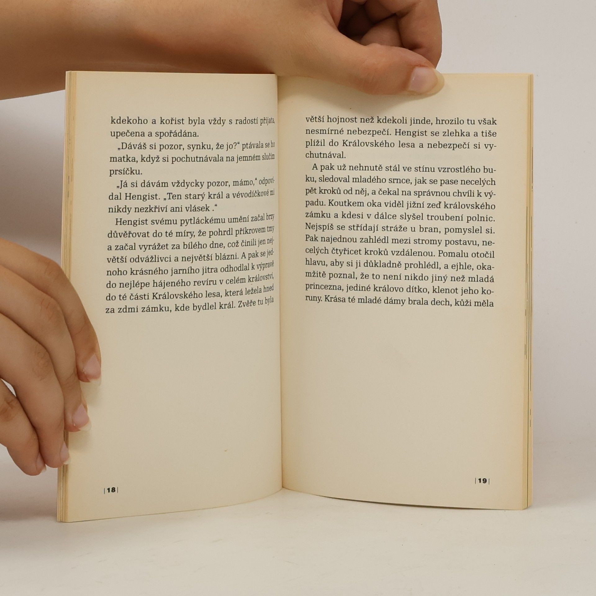 Roald Dahl Princezna a pytlák