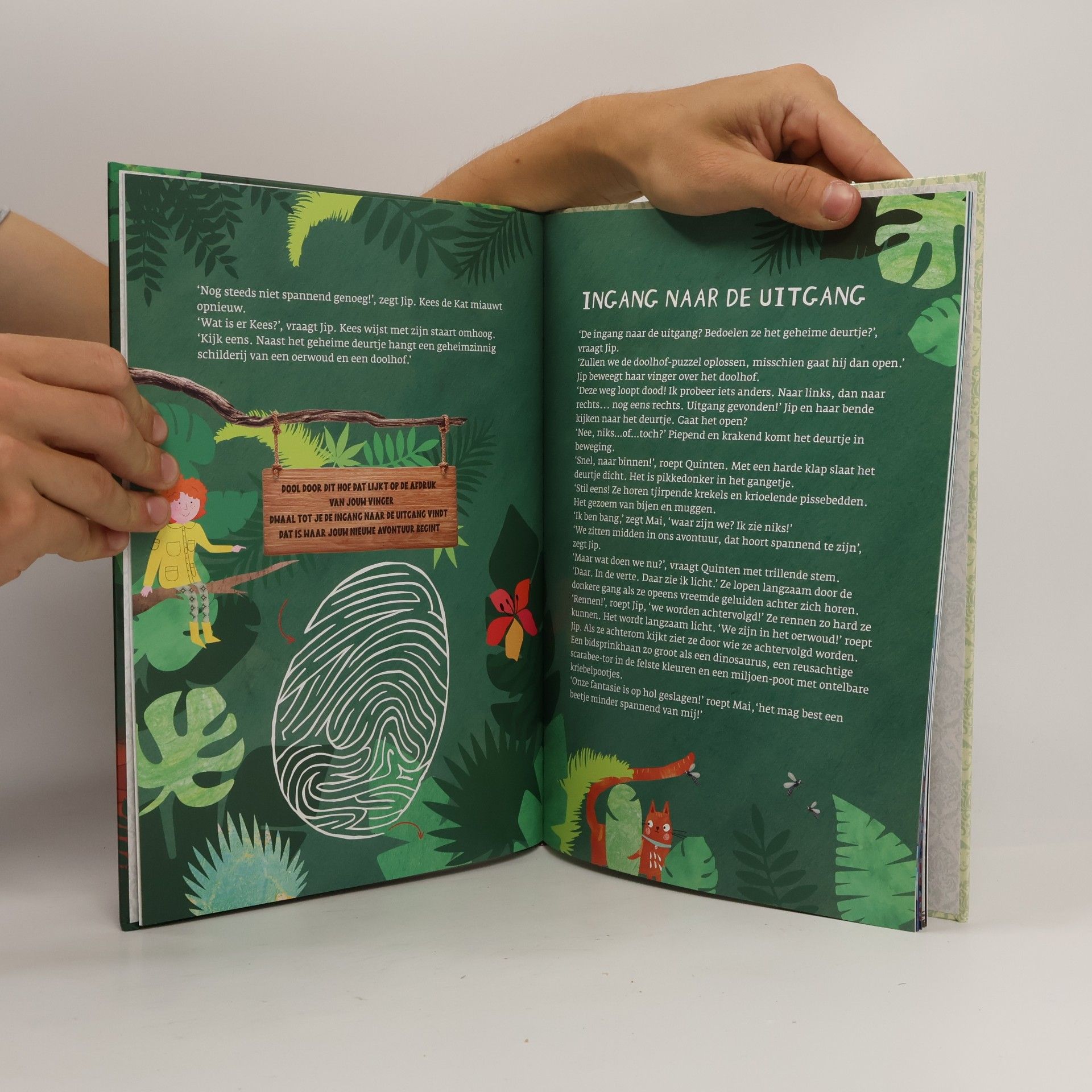 Michel Linthorst Jip en het magische boek