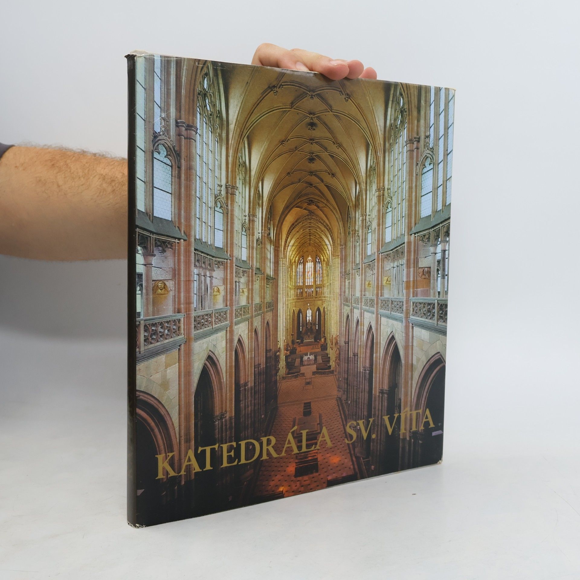 Jiří Burian Katedrála sv. Víta na Pražském hradě