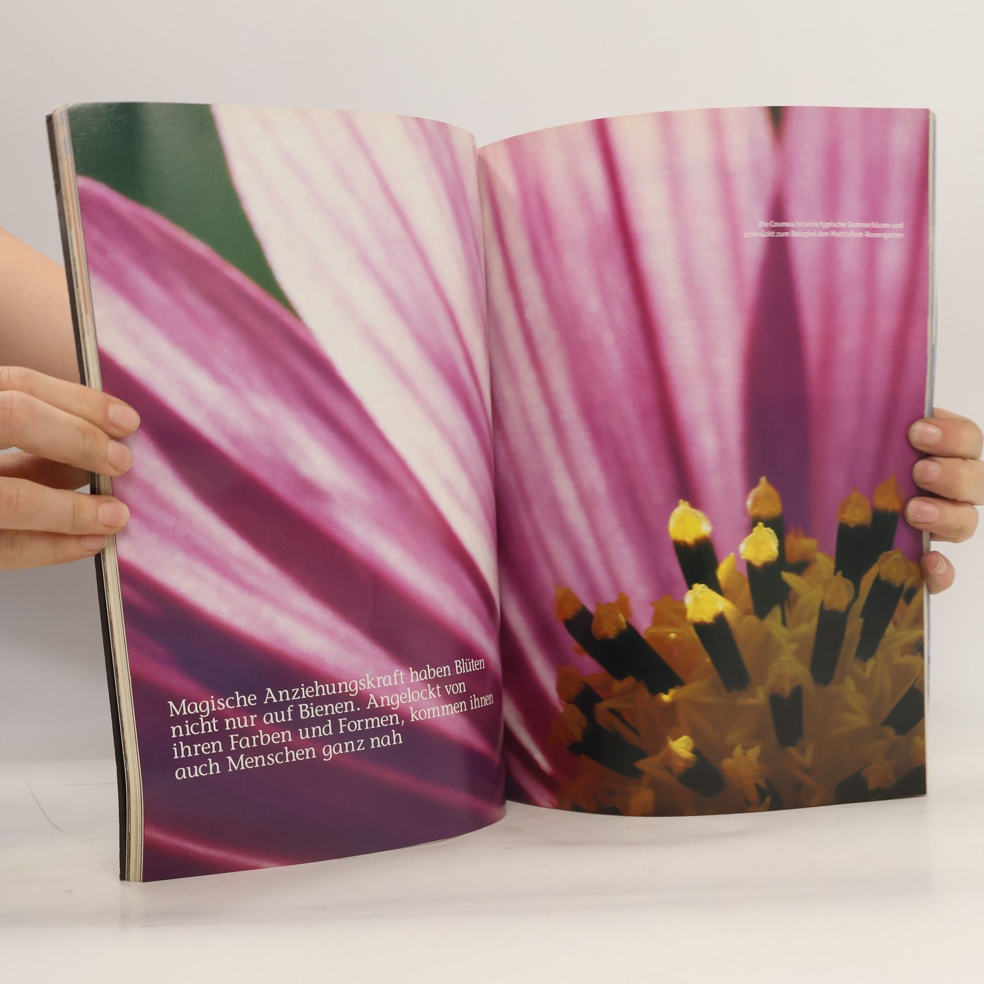 Collectif d'auteurs ADAC Reisemagazin. Nr 76
