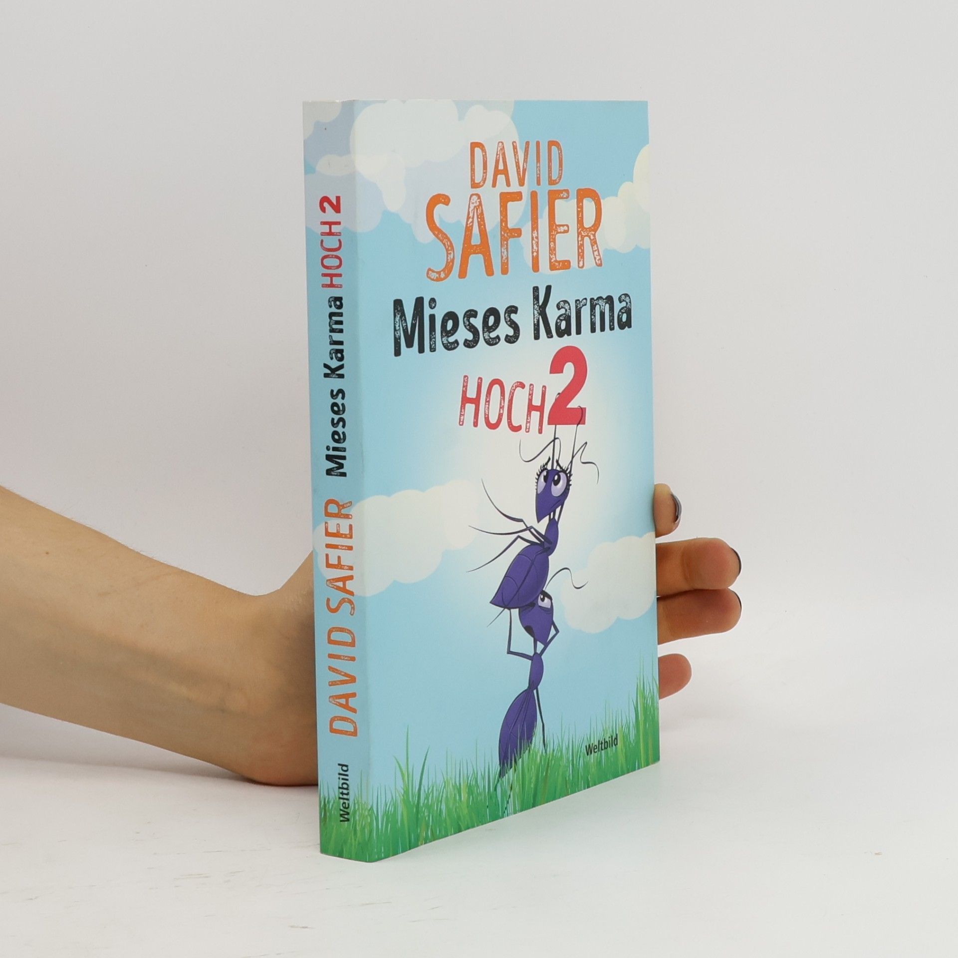 David Safier Mieses Karma hoch 2