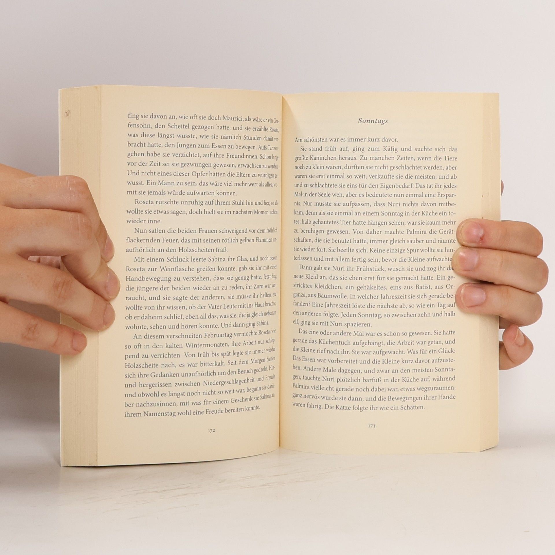 Maria Barbal Ein Brief aus der Ferne