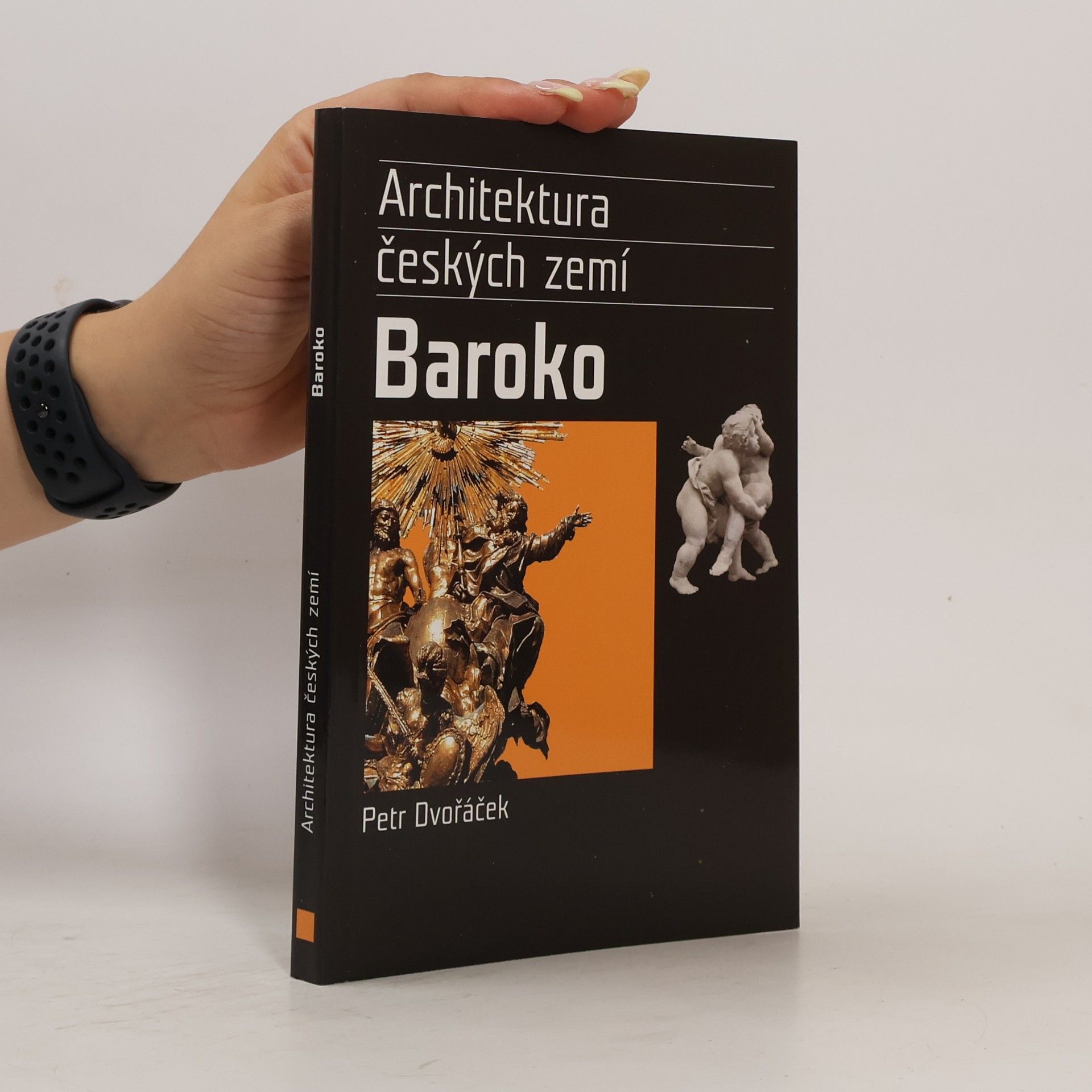 Petr Dvořáček Baroko. Architektura českých zemí
