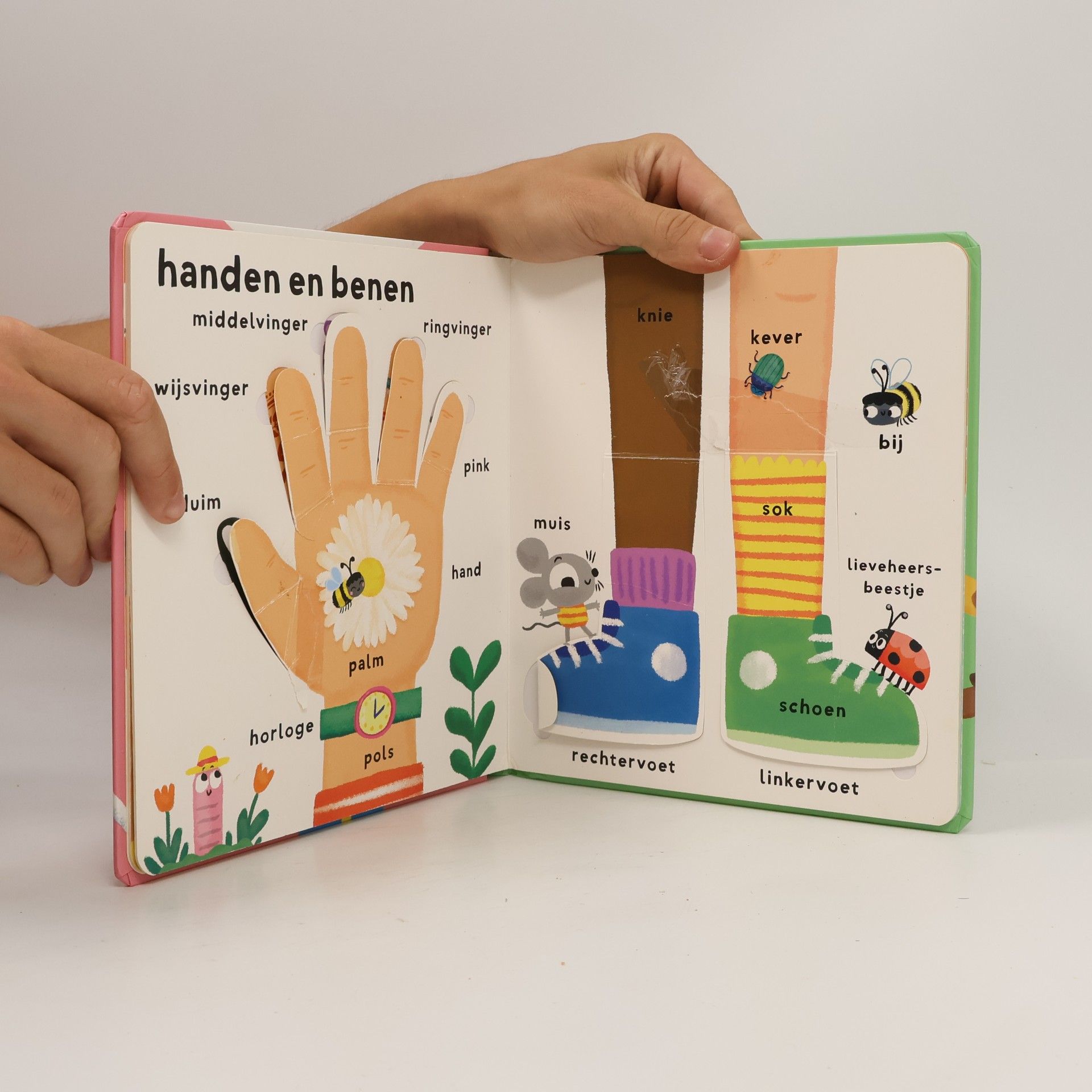 Ik leer en ontdek mijn eerste woorden