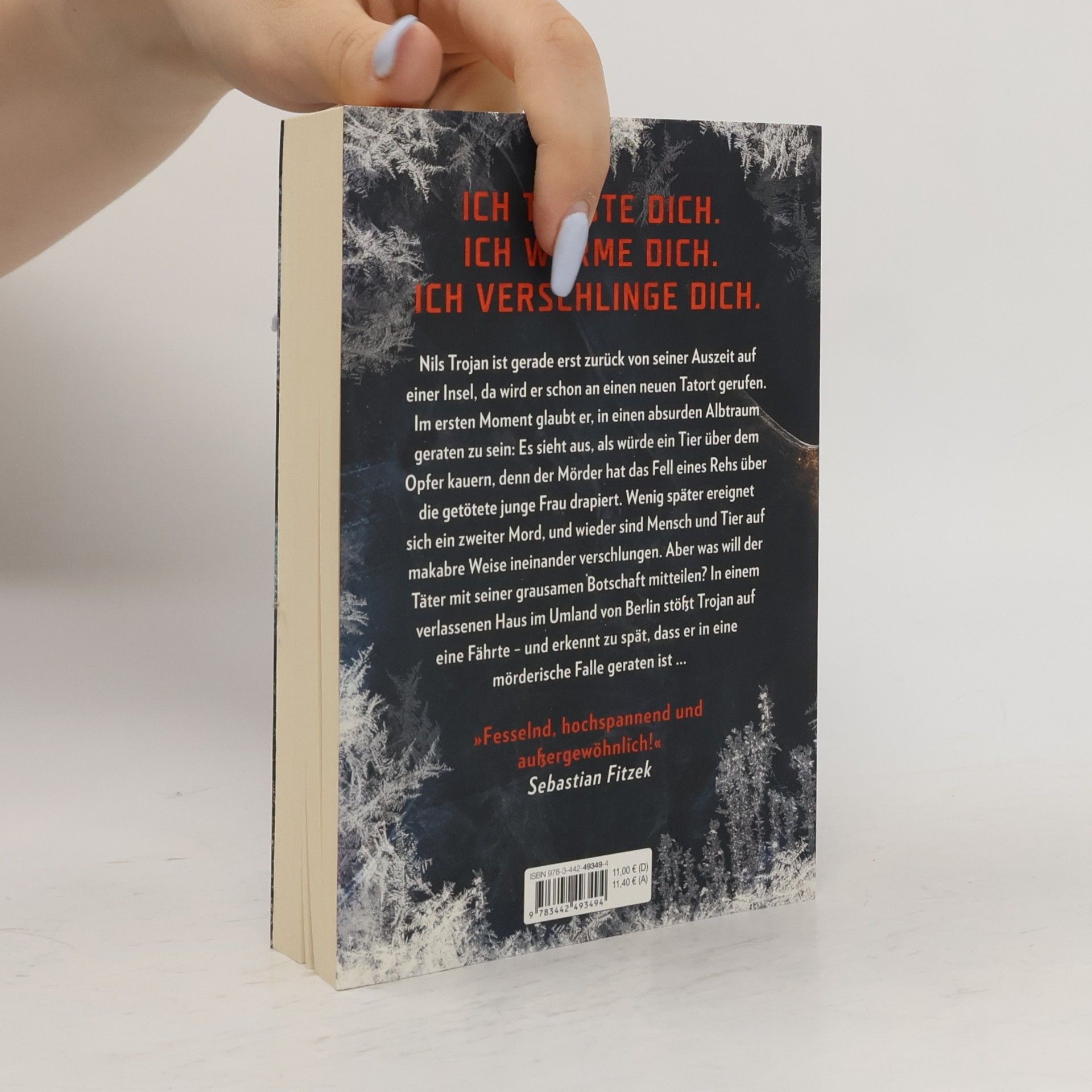 Max Bentow Der Eisjunge