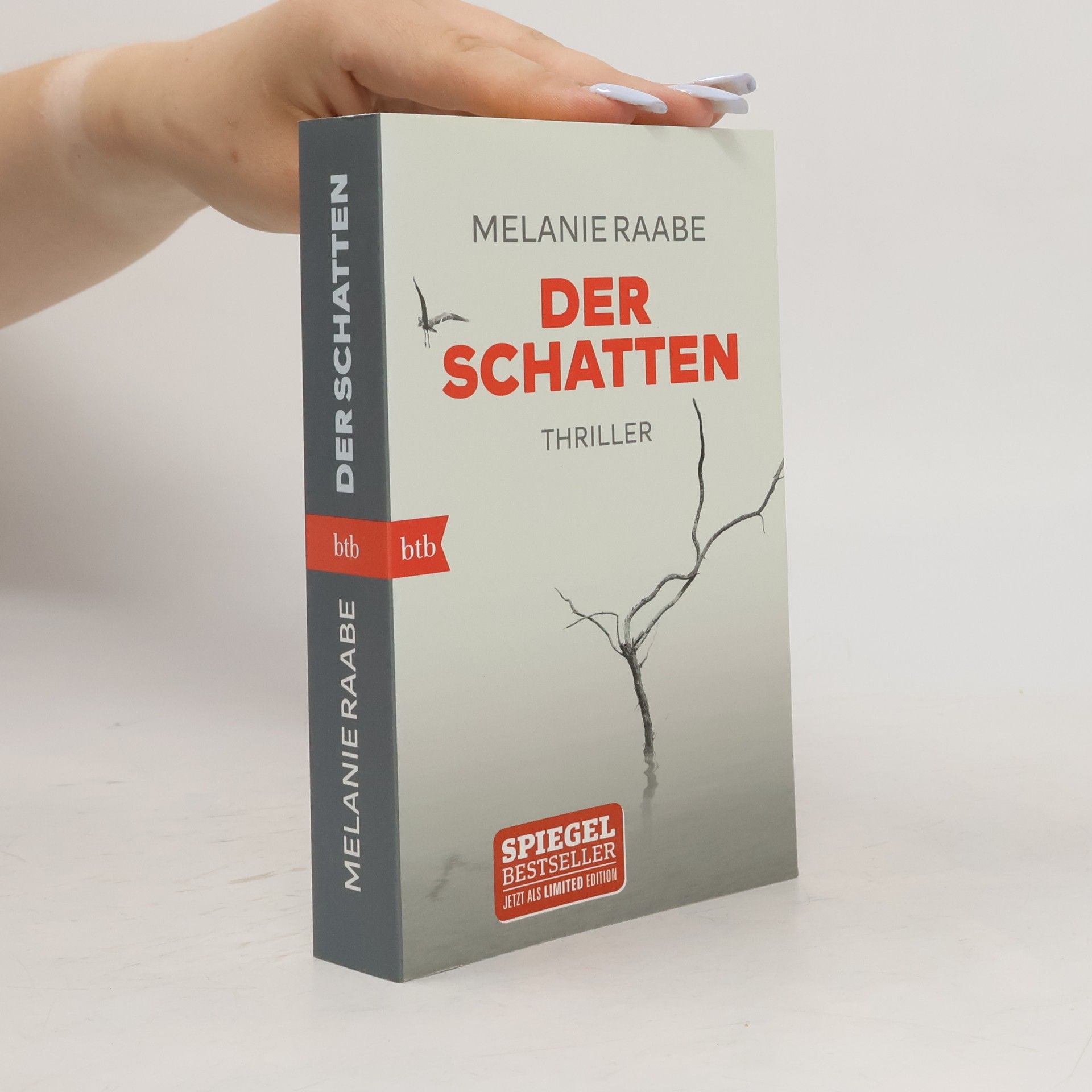 Melanie Raabe Der Schatten