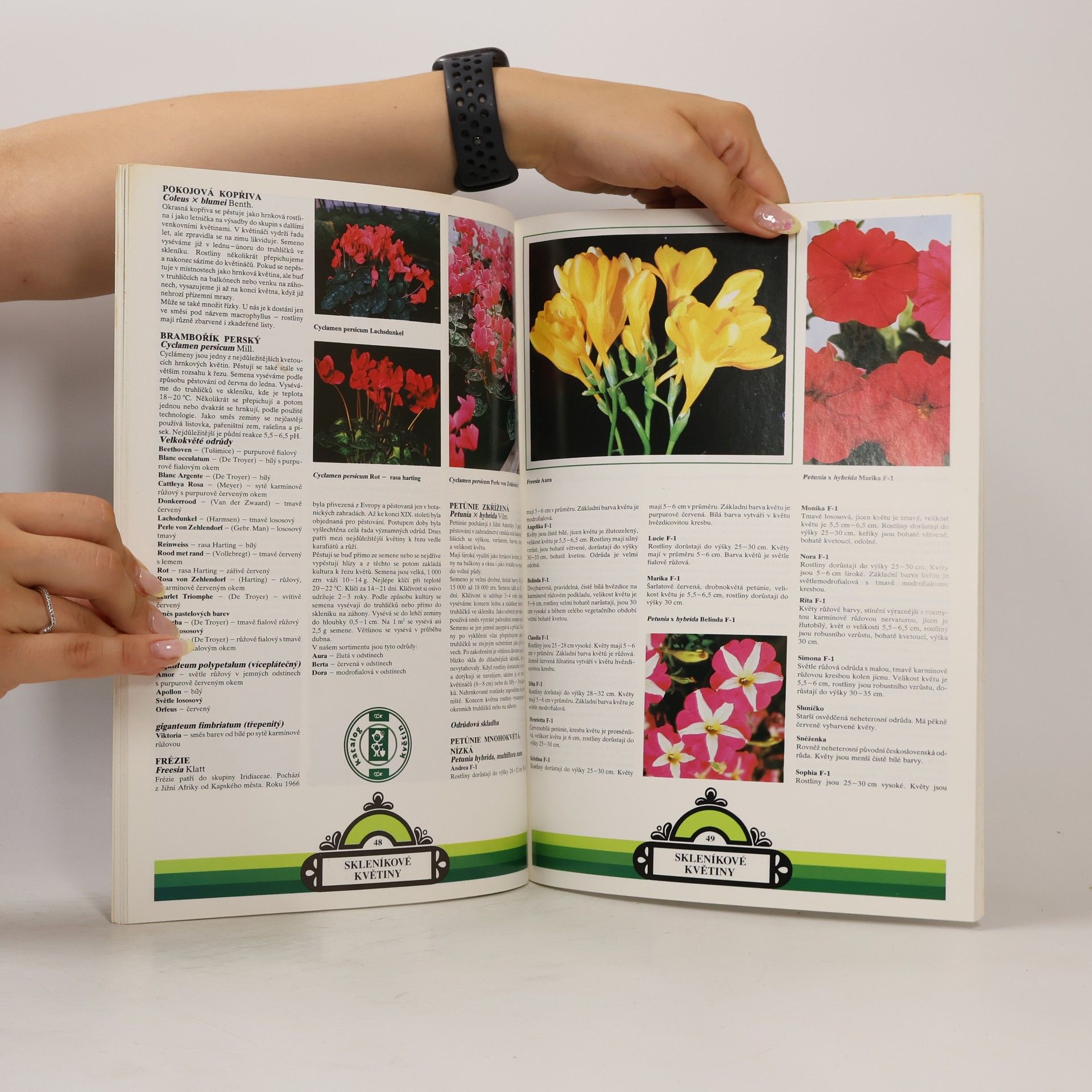 Autorenkollektiv Katalog květin. Letničky - dvouletky - trvalky - skleníkové květiny - cibulovité a hlíznaté