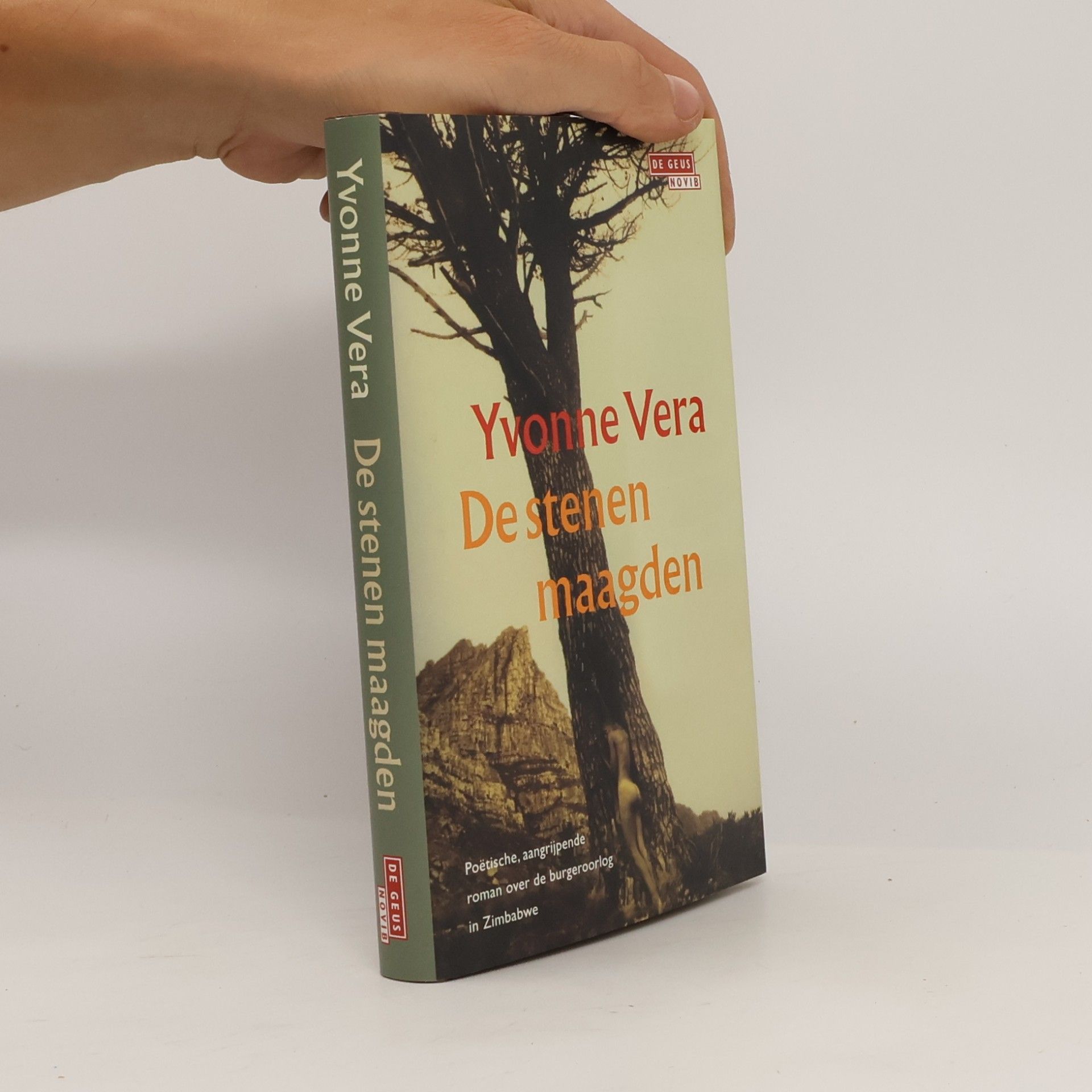 Yvonne Vera De stenen maagden