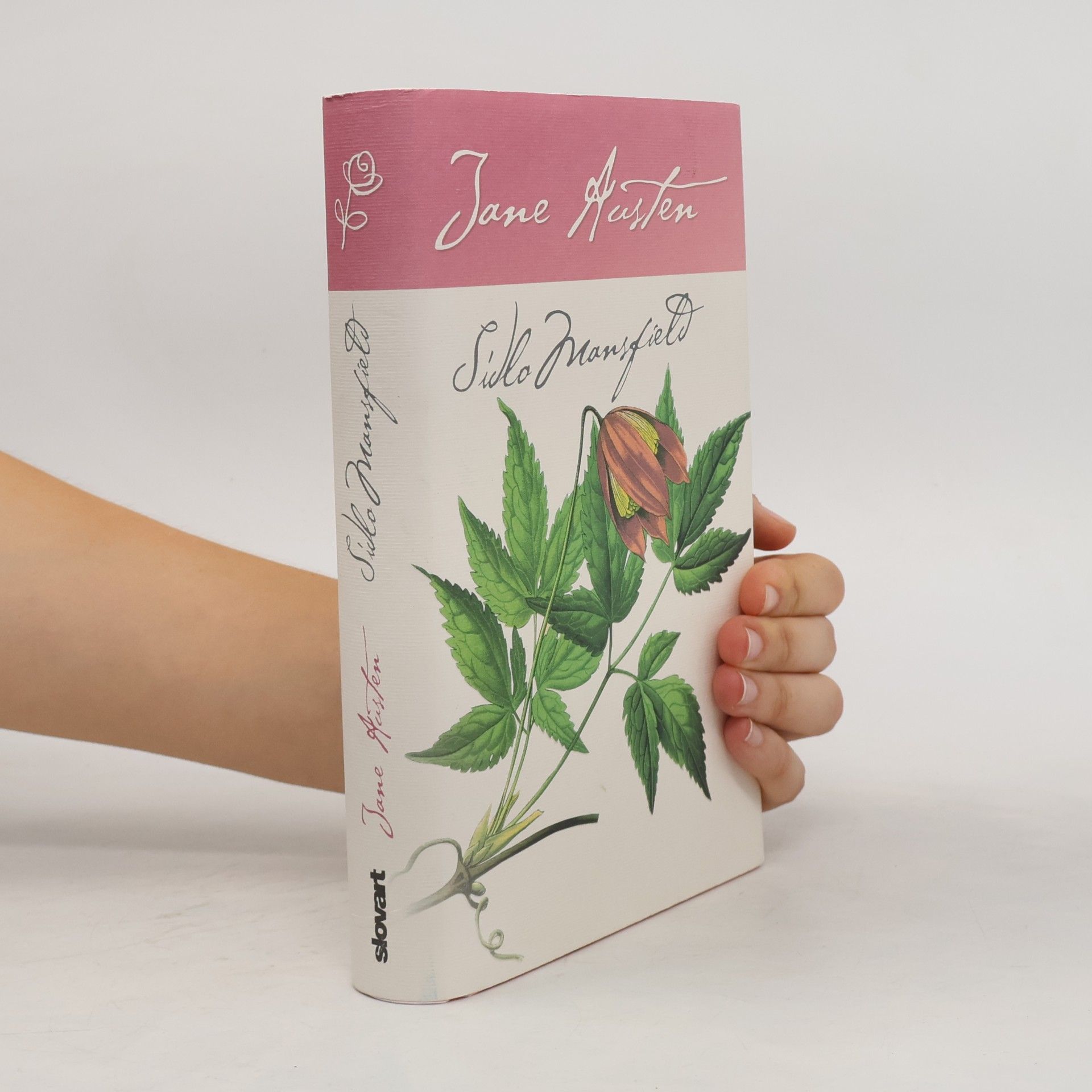 Jane Austen Sídlo Mansfield