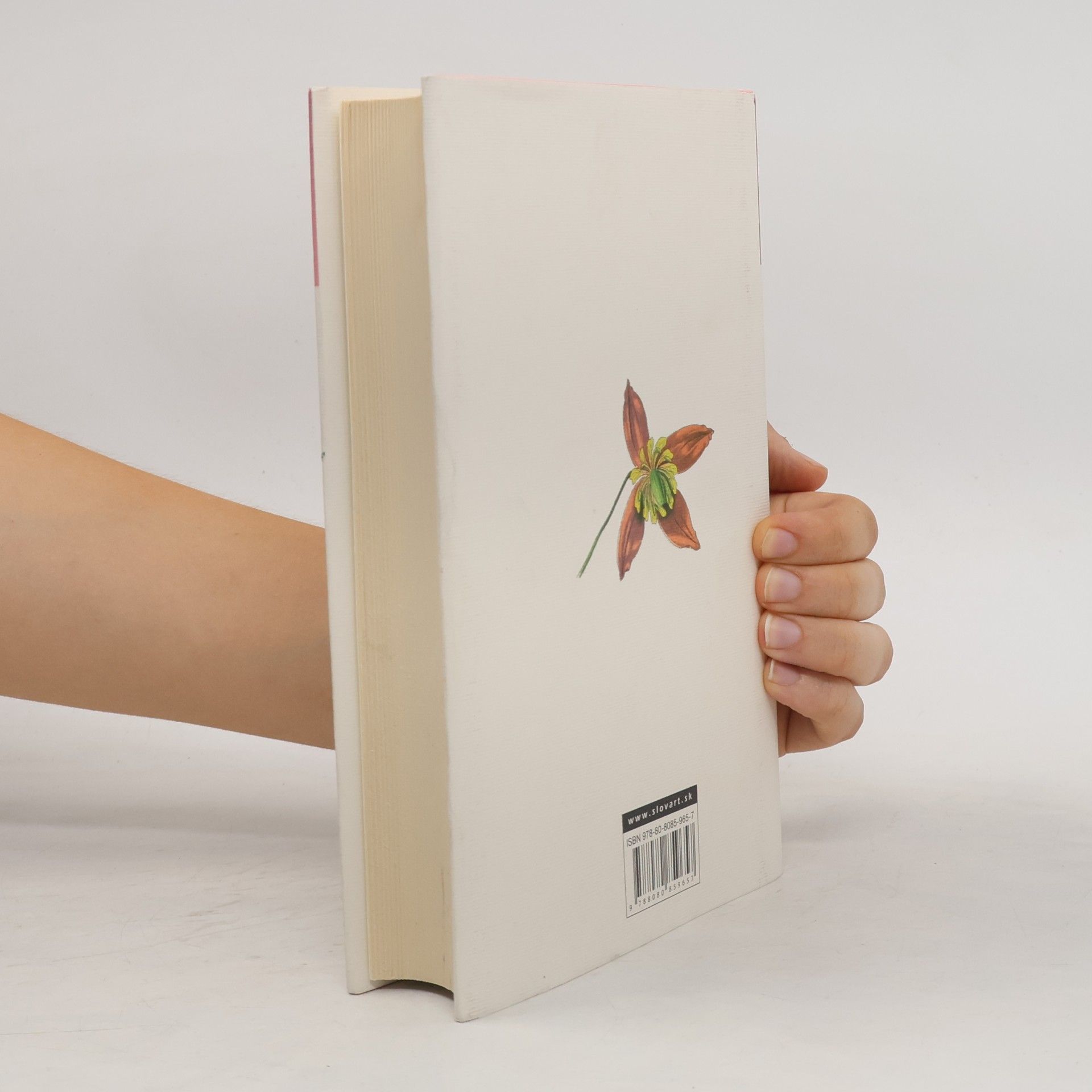 Jane Austen Sídlo Mansfield