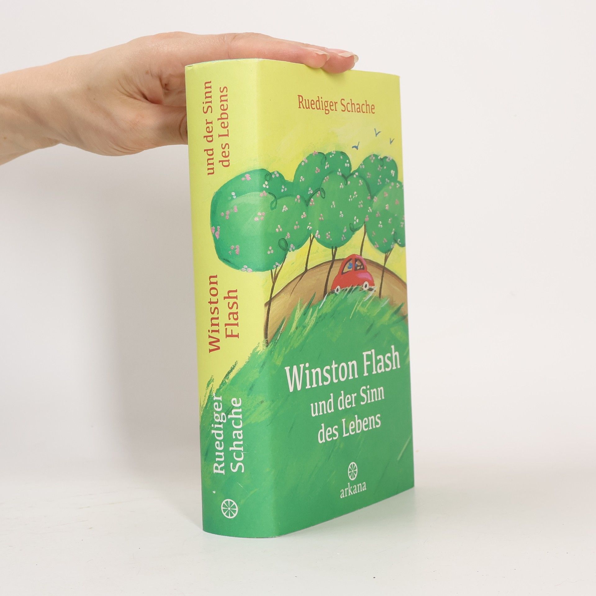 Winston Flash und der Sinn des Lebens