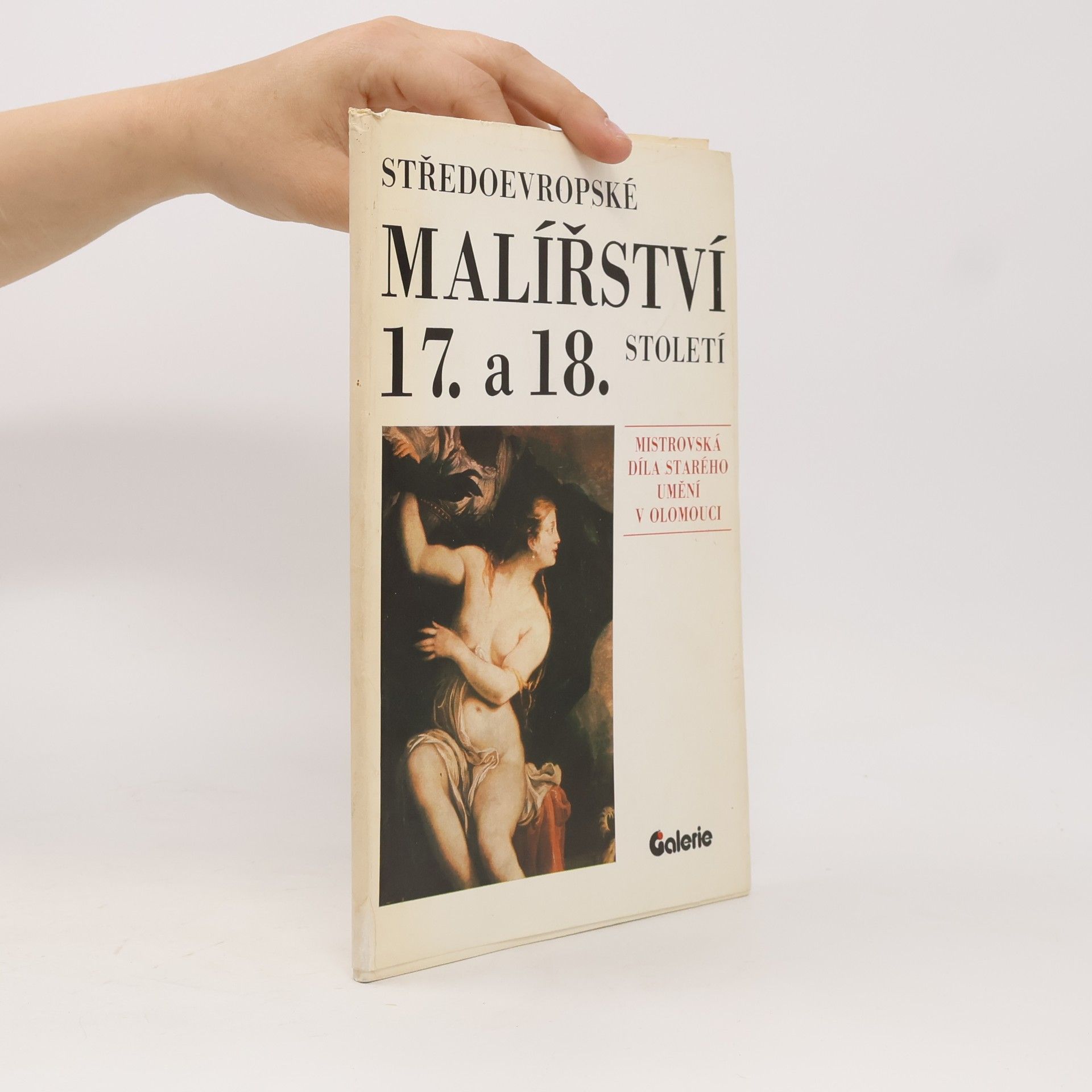 Autores varios Středoevropské malířství 17. a 18. století
