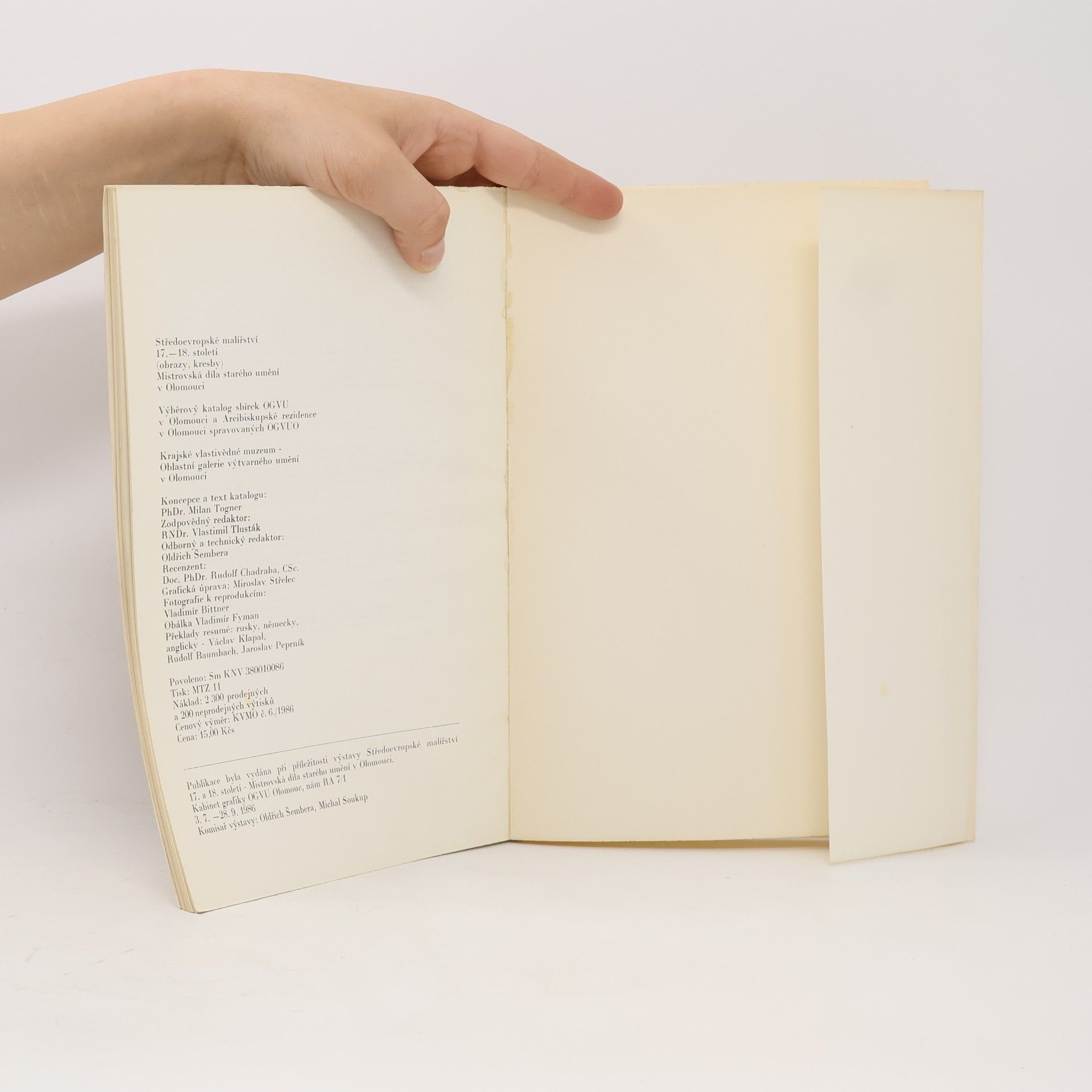 Autorenkollektiv Středoevropské malířství 17. a 18. století