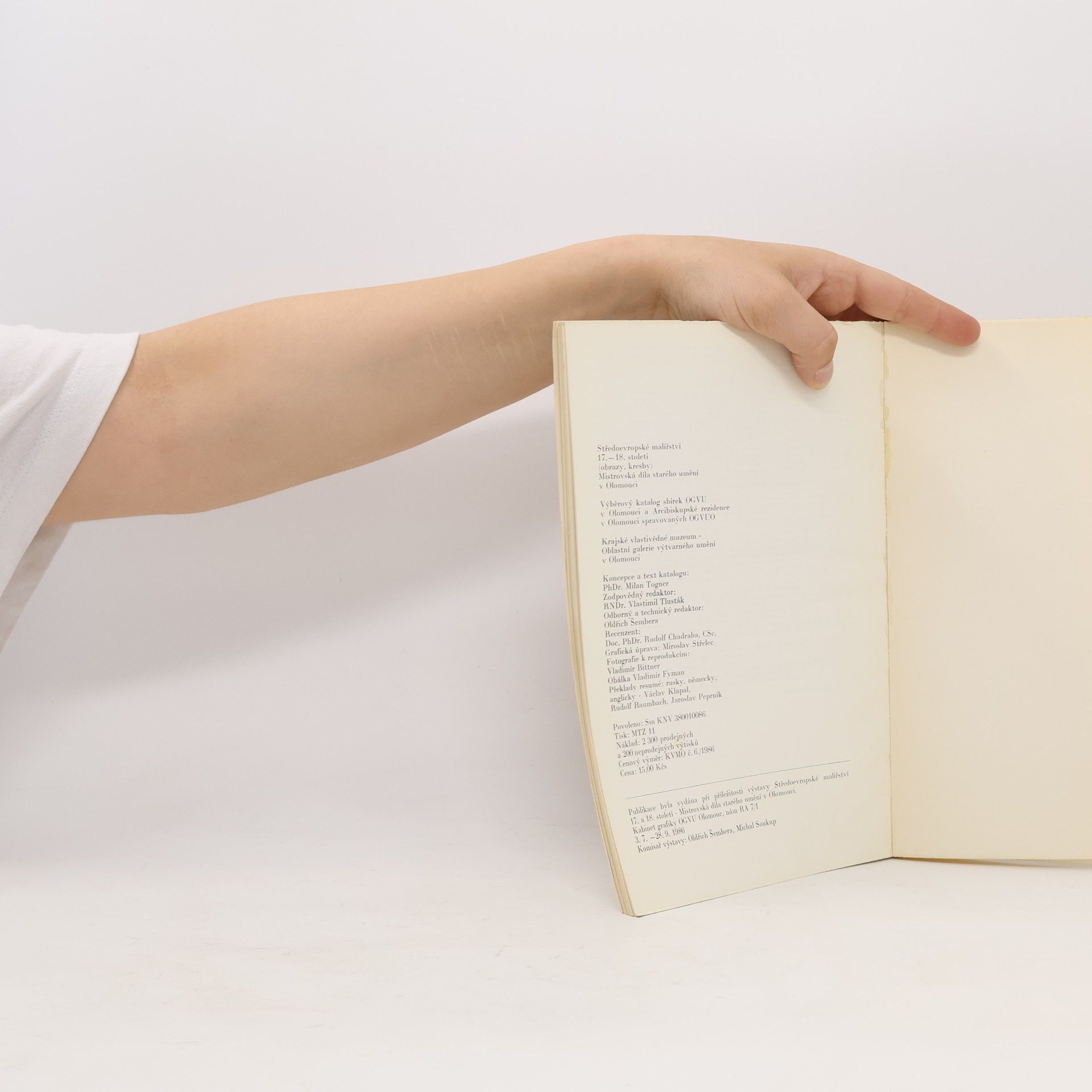 Autorenkollektiv Středoevropské malířství 17. a 18. století