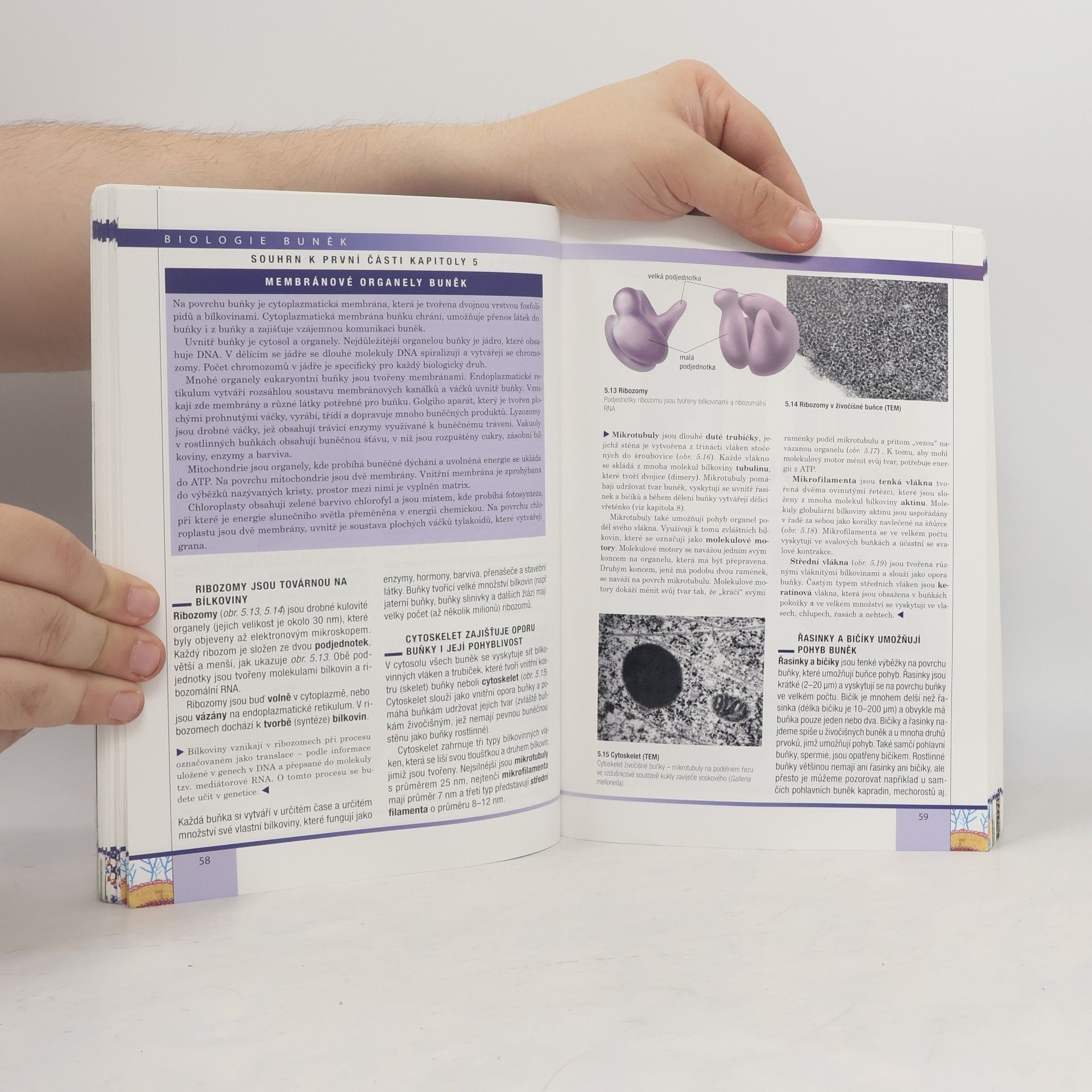 Radka Závodská Biologie buněk: Základy cytologie, bakteriologie, virologie