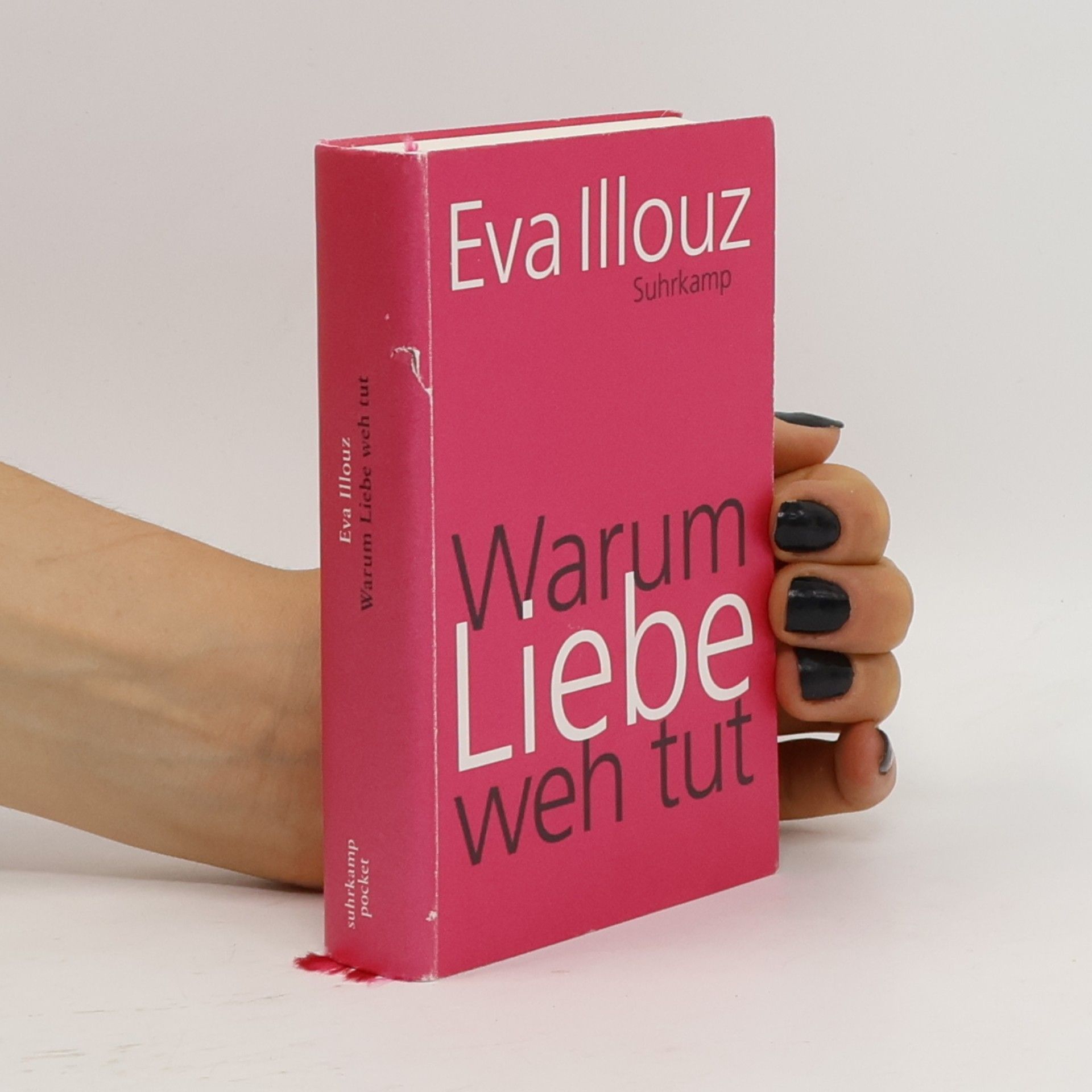 Eva Illouz Warum Liebe weh tut