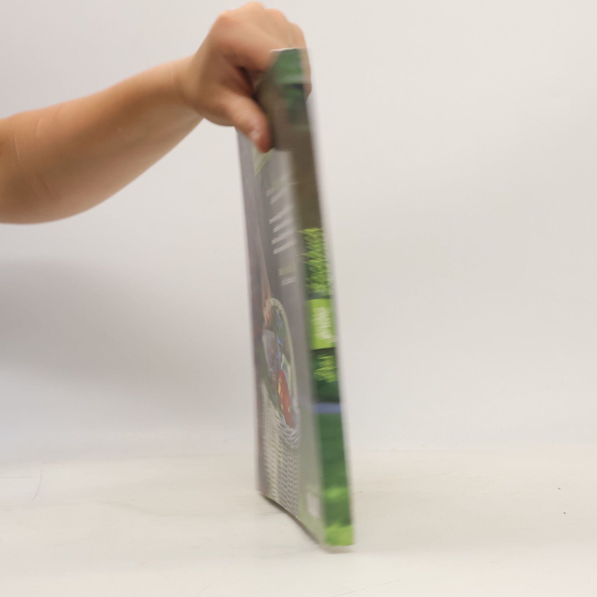 Beatrix Stepanek Das grüne Kochbuch