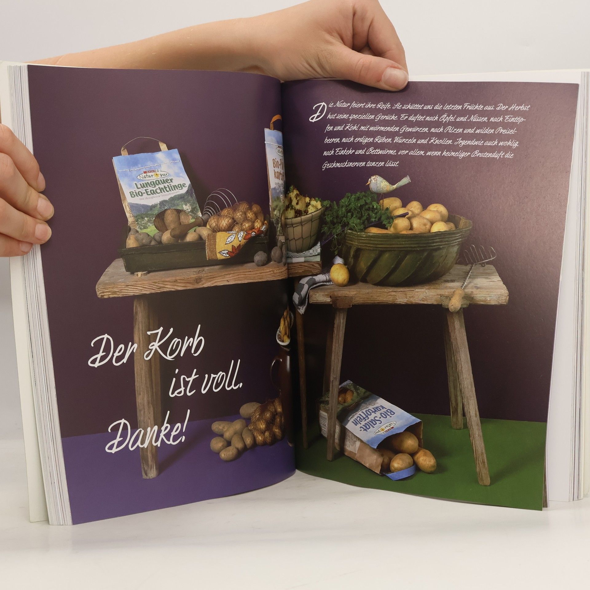 Beatrix Stepanek Das grüne Kochbuch