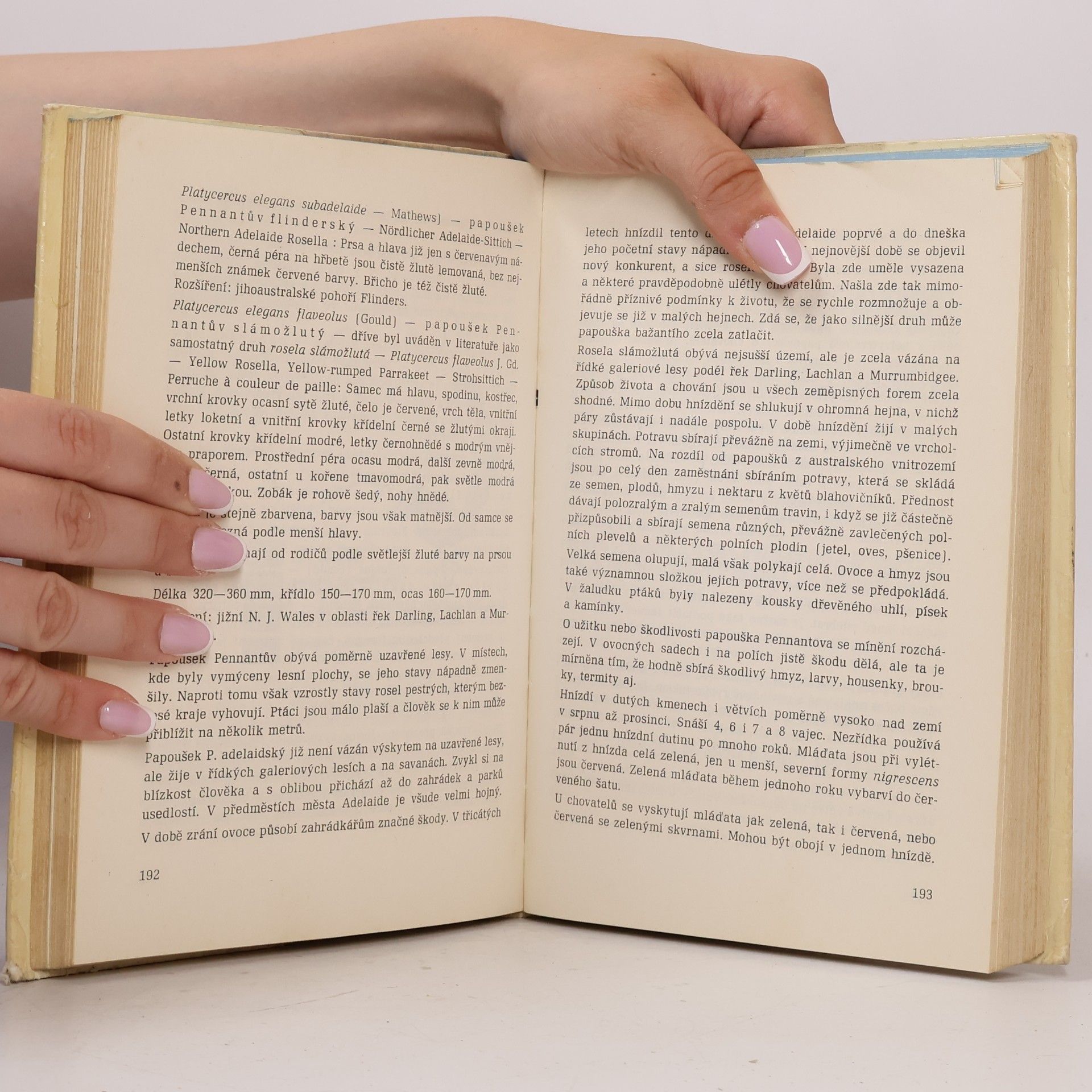 Rudolf Vít Cizokrajní ptáci v klecích. 2, Papoušci