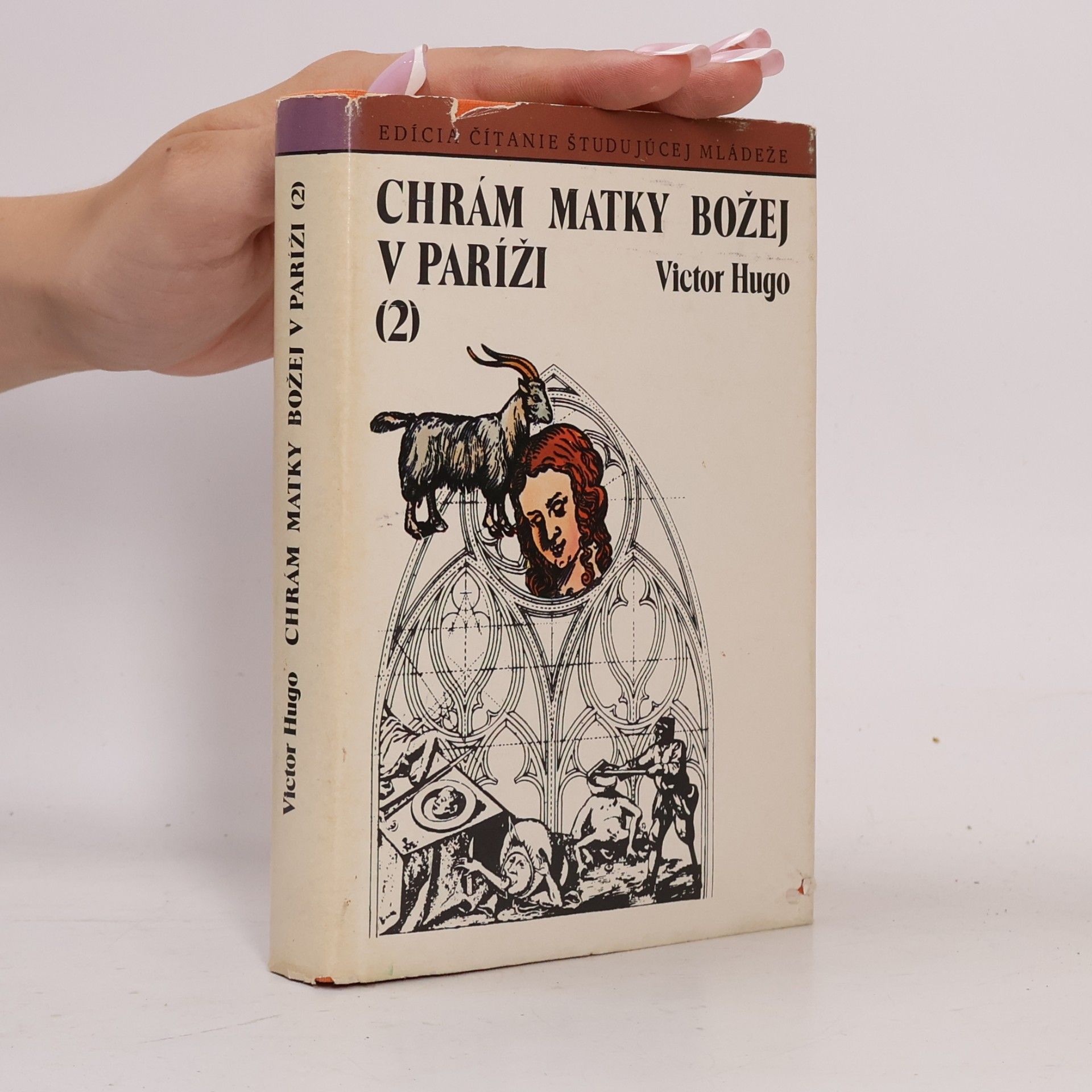 Victor Hugo Chrám matky božej v Paríži 2