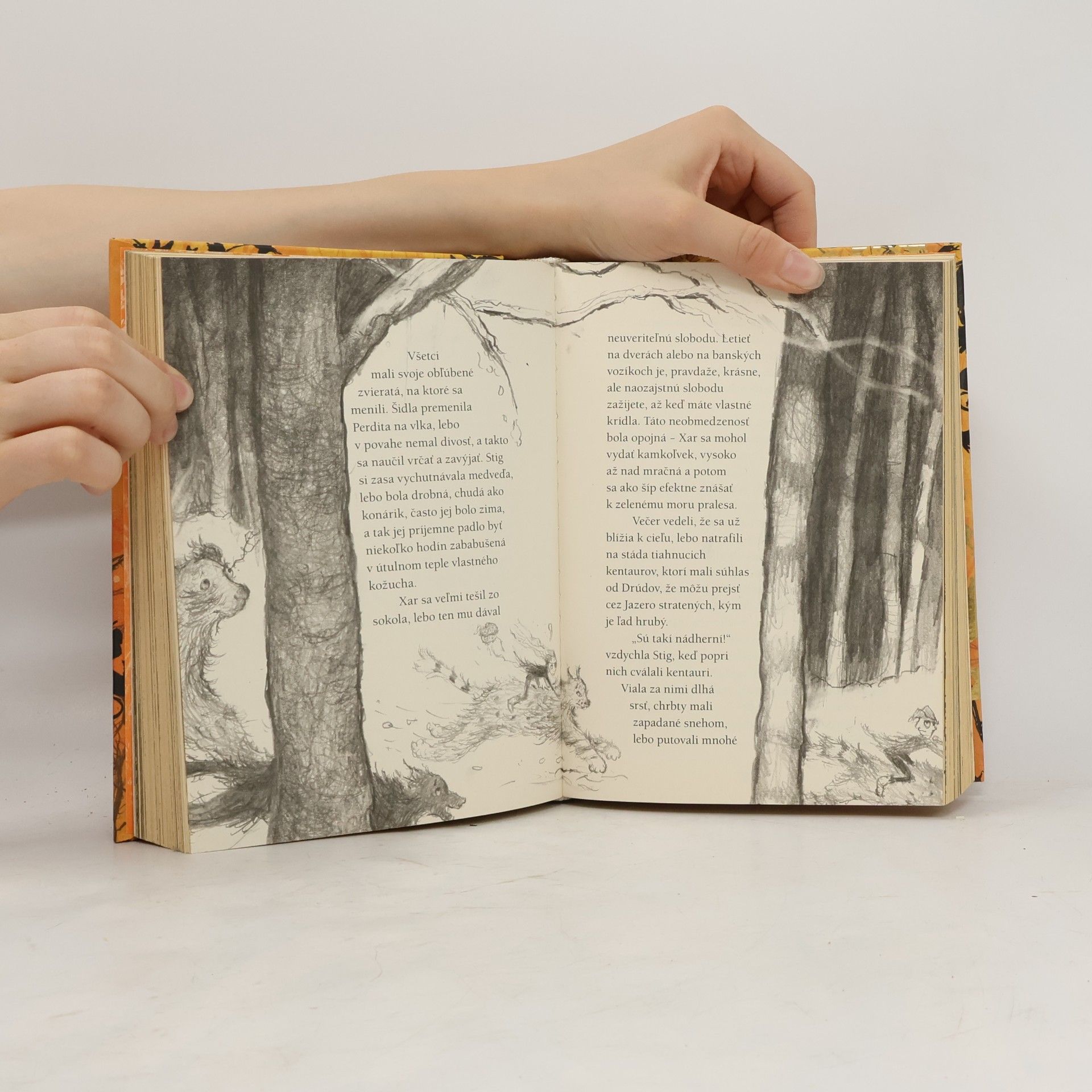 Cressida Cowell Nikdy a navždy