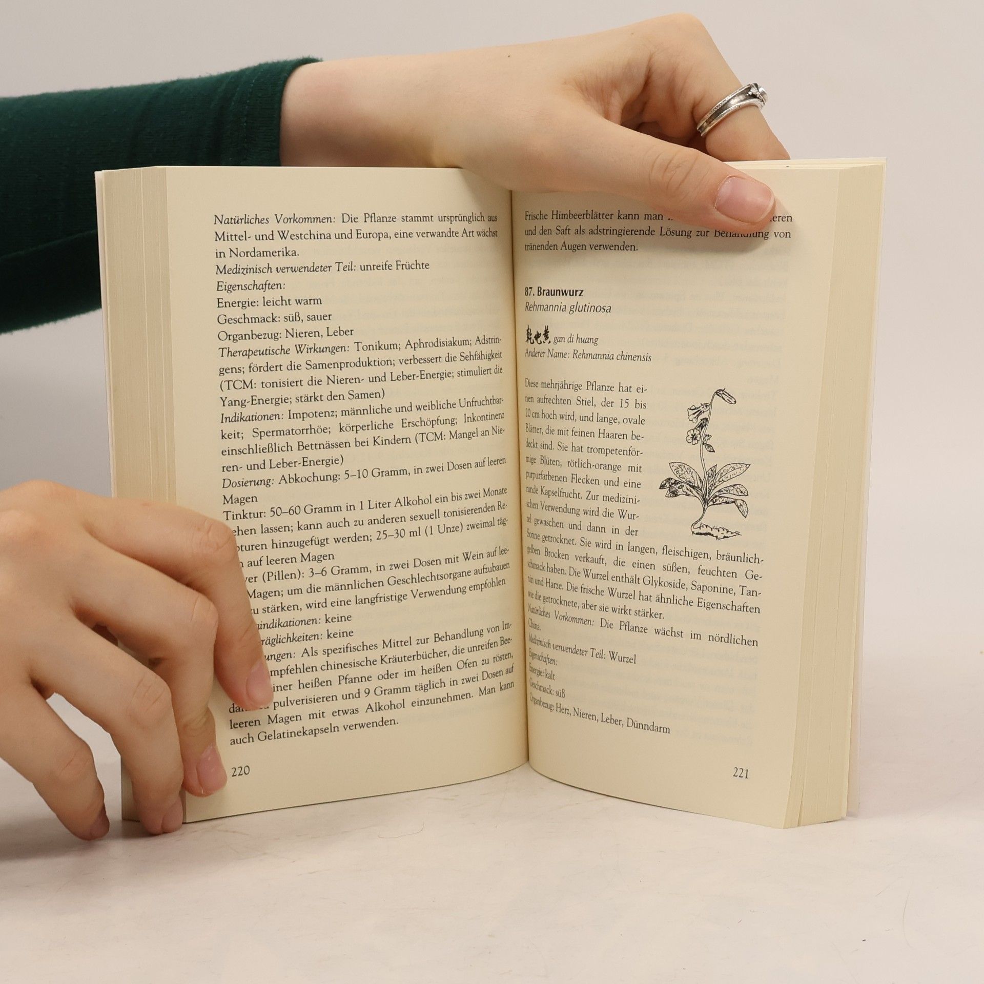 Daniel Reid Handbuch der chinesischen Heilkräuter