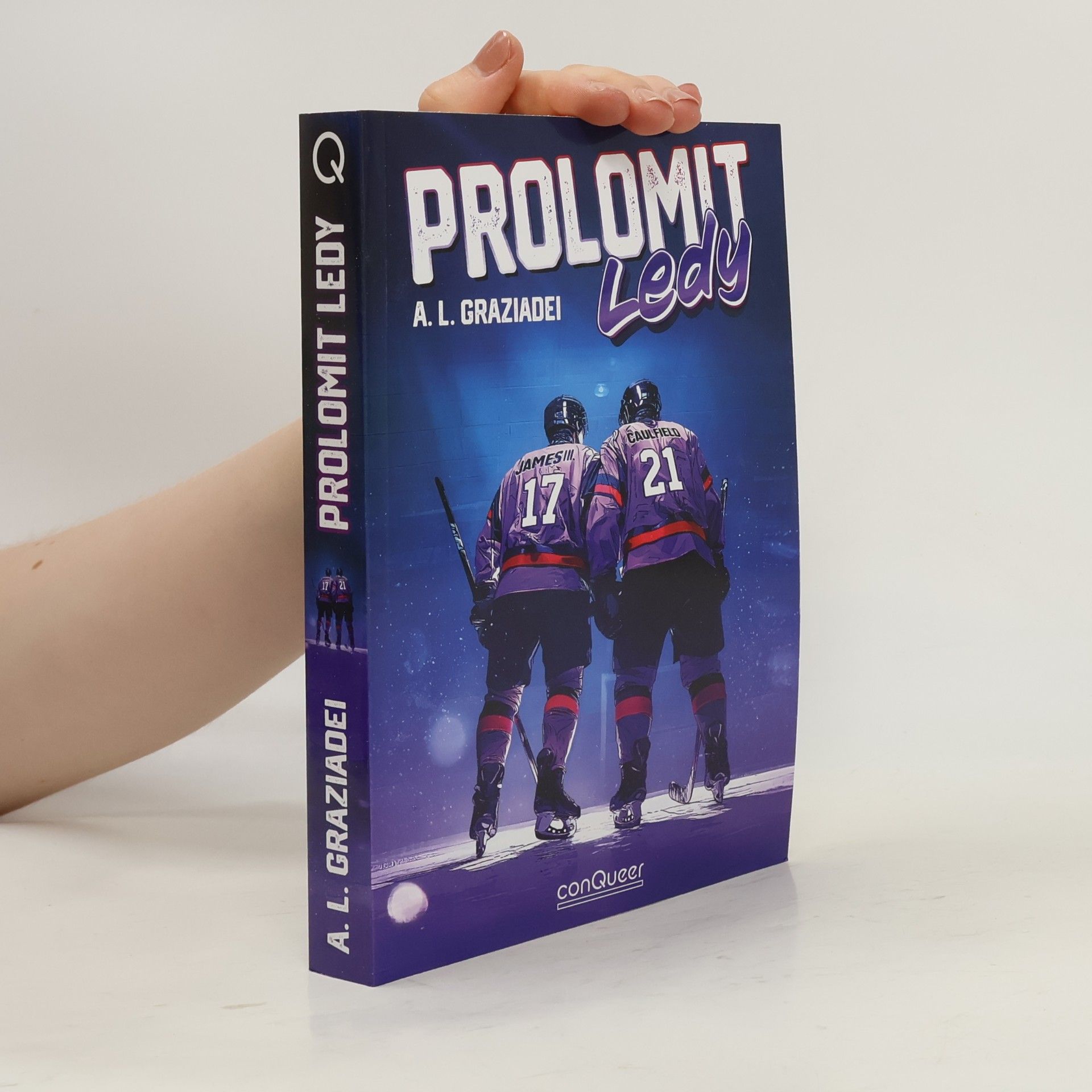 Prolomit ledy
