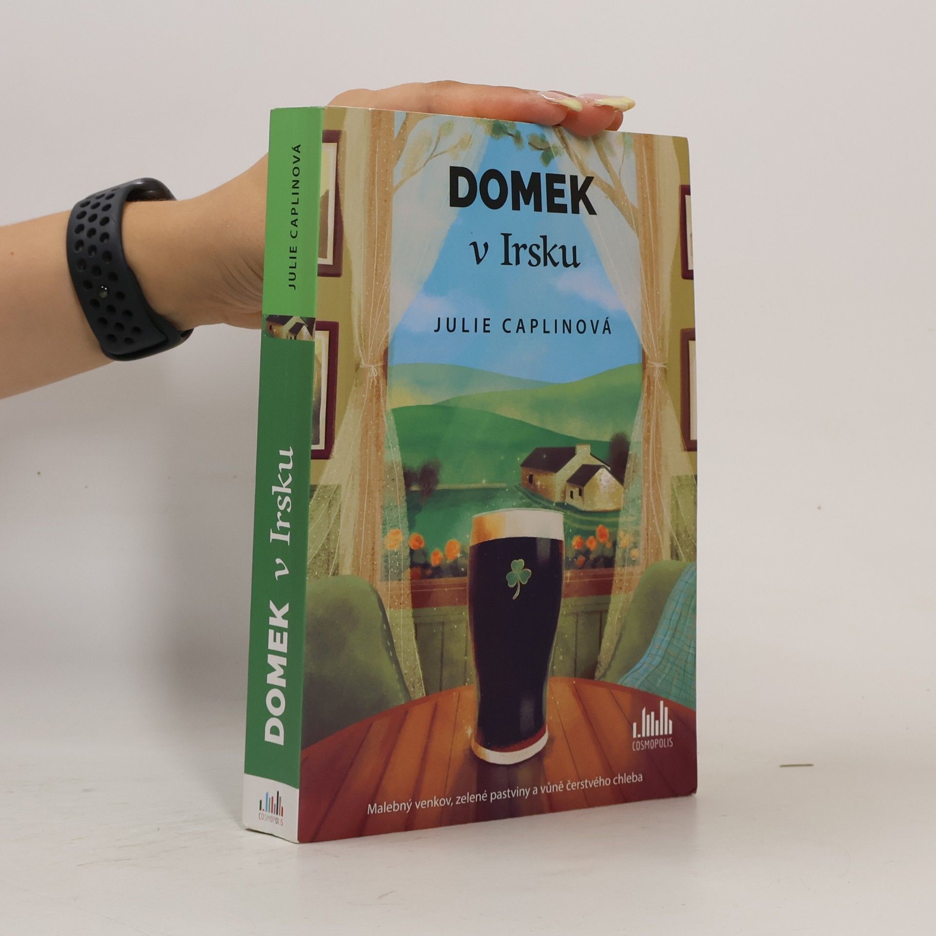 Julie Caplin Domek v Irsku