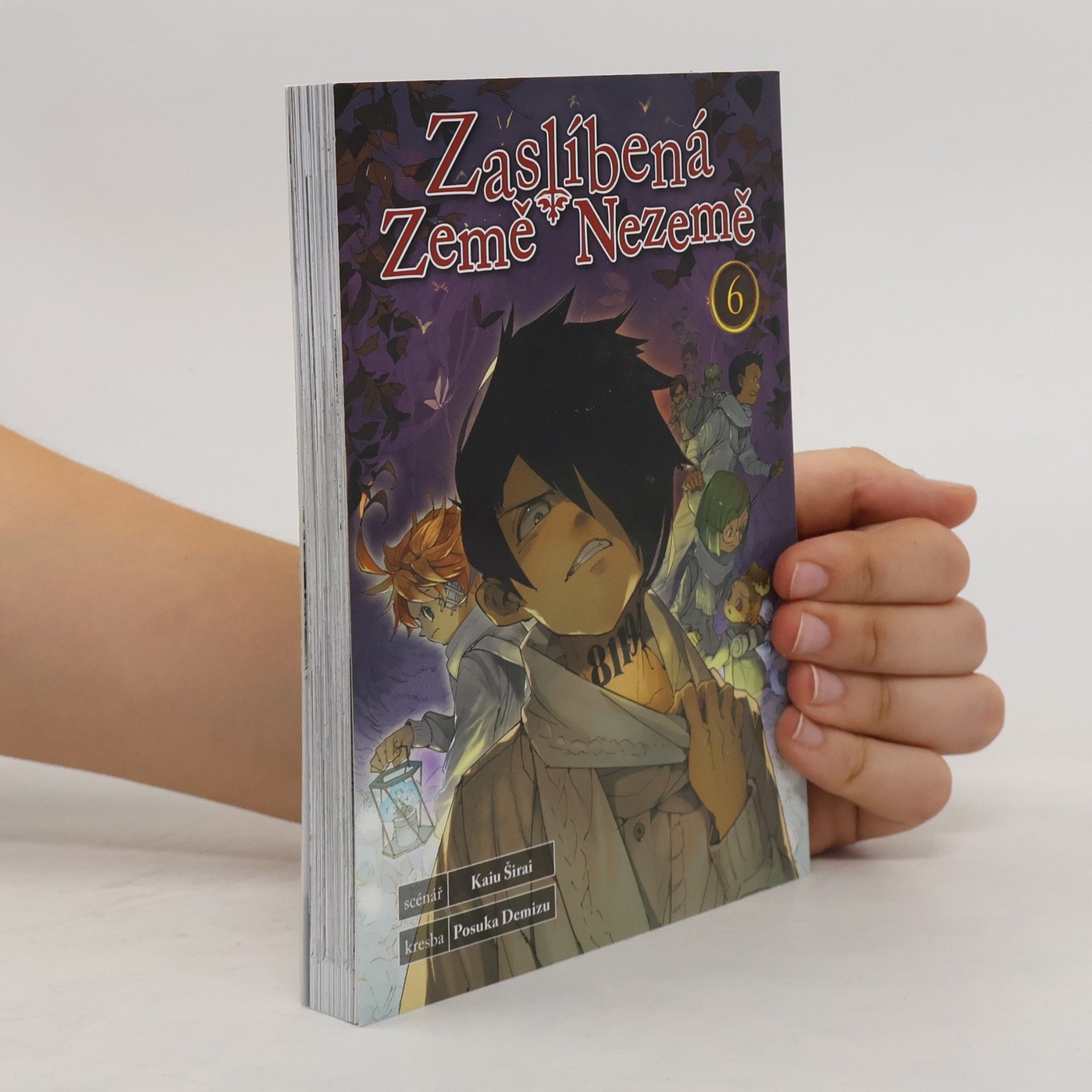 Kaiu Shirai Zaslíbená Země Nezemě 6
