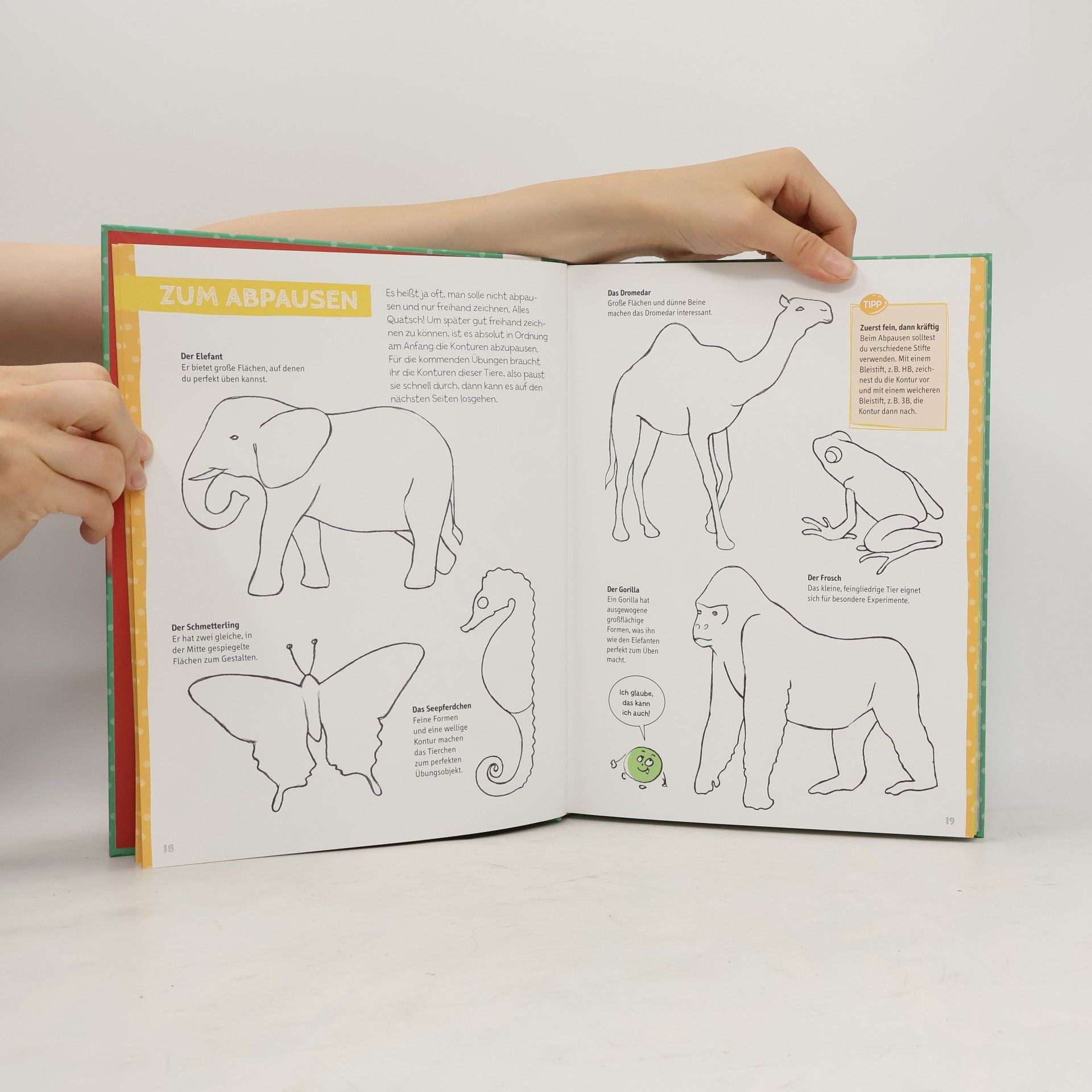 Gecko Keck Die Kunst des Zeichnens für Kinder