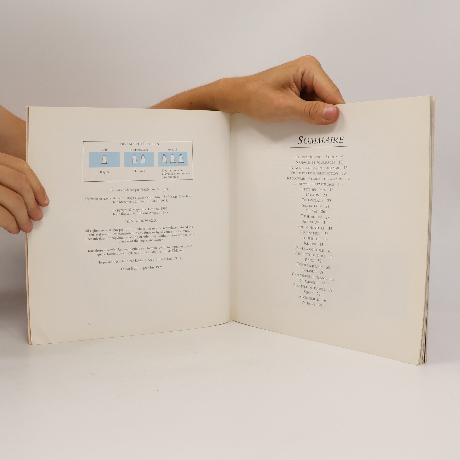 Lindsay John Bradshaw Le livre des gâteaux fantaisie