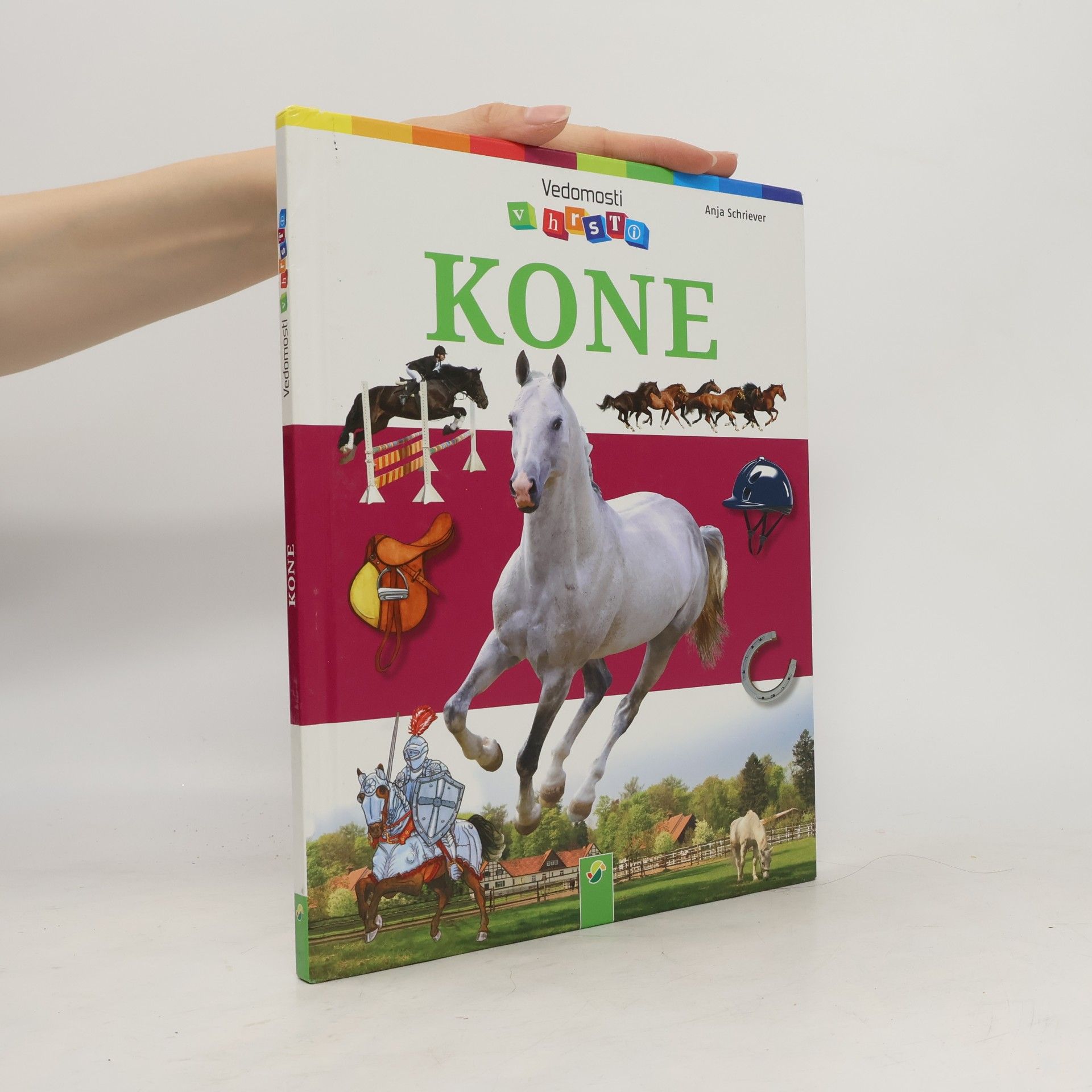 Anja Schriever Kone