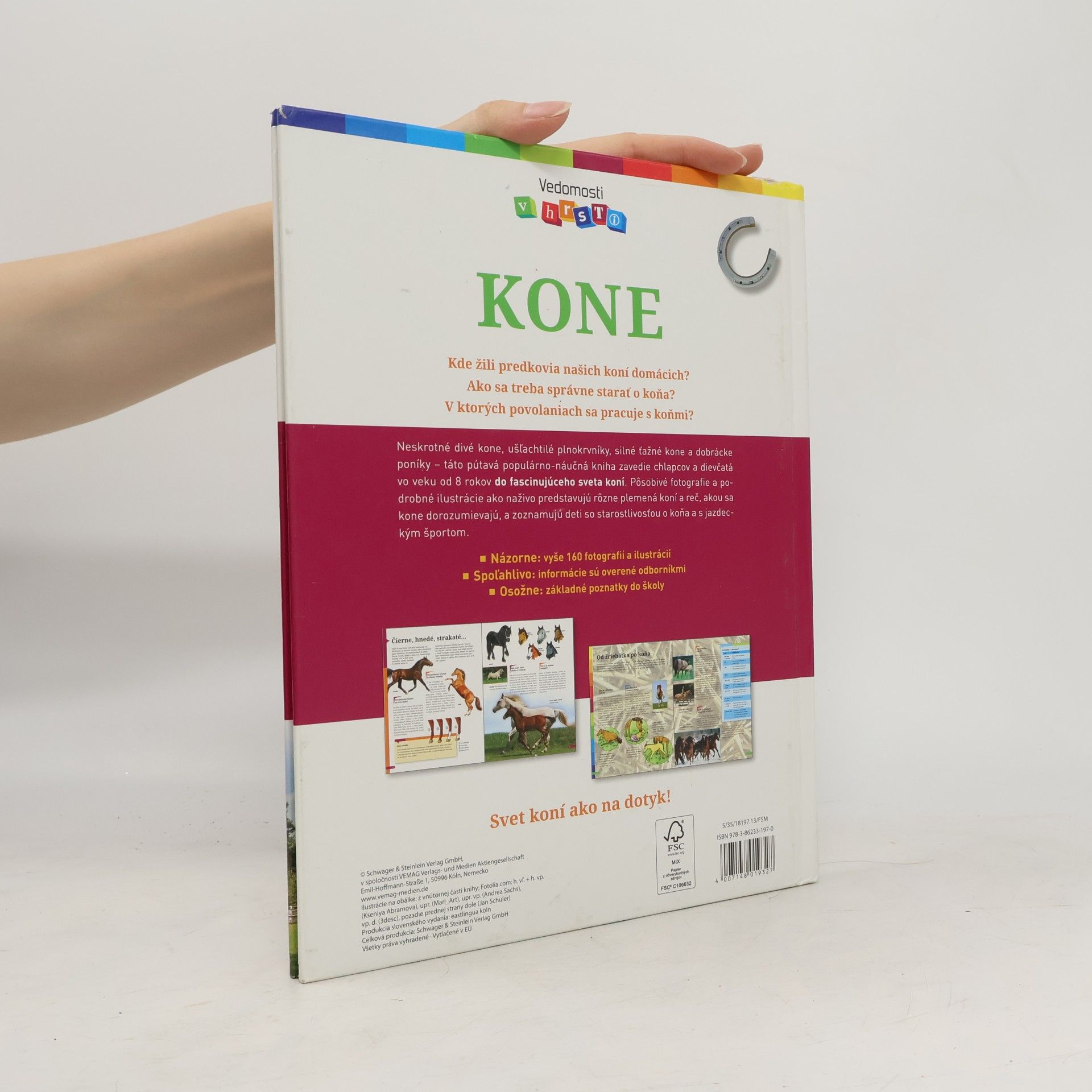 Anja Schriever Kone