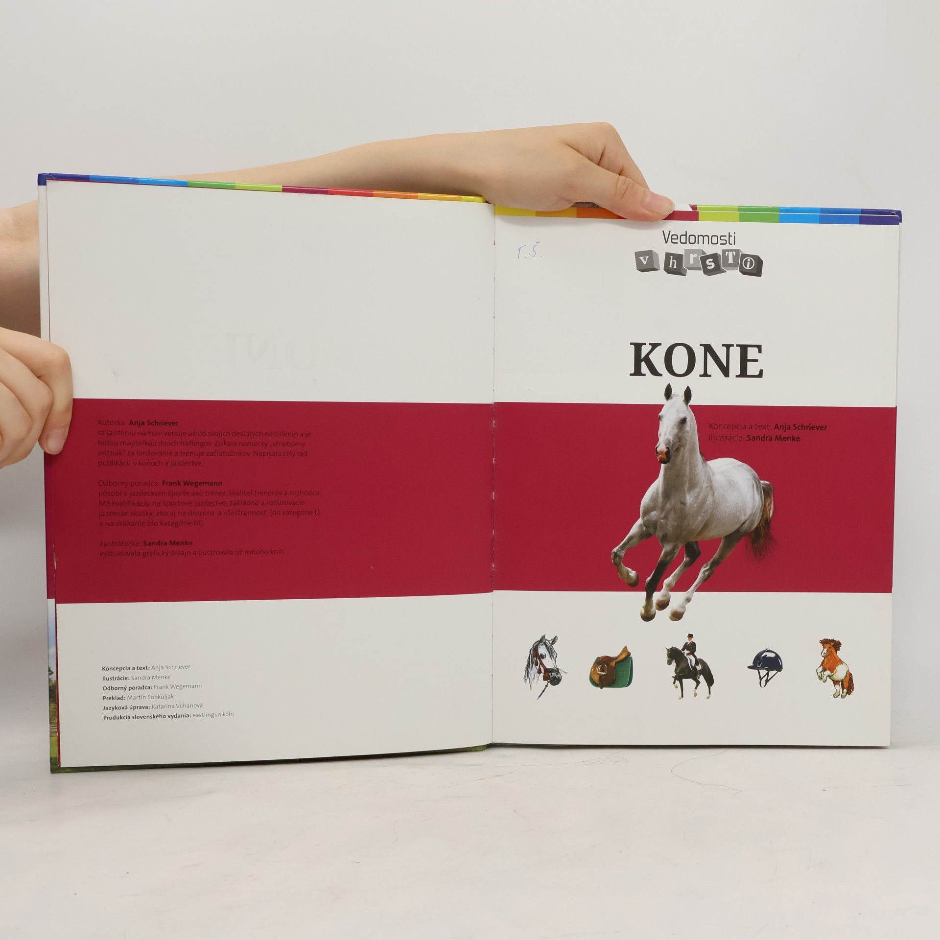 Anja Schriever Kone