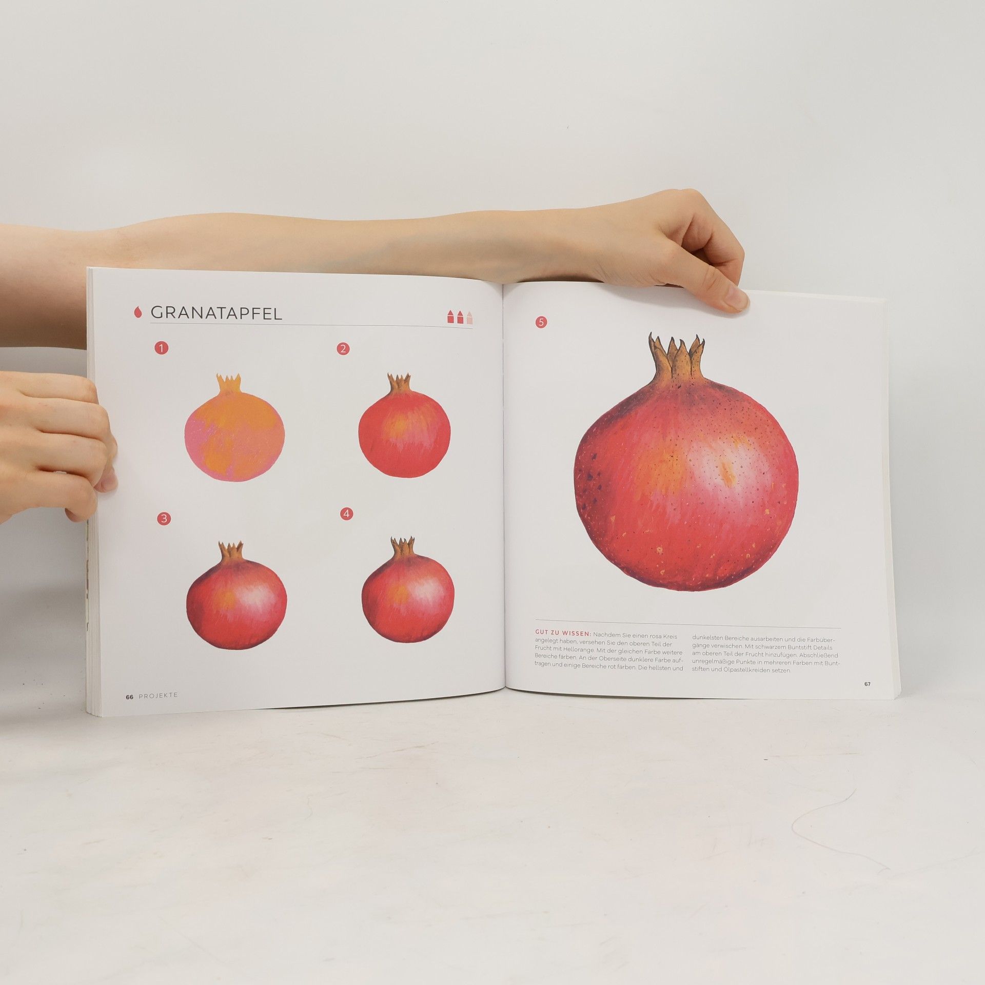 Eunhye Kim 50 x Pastell - Motive von klassisch bis modern