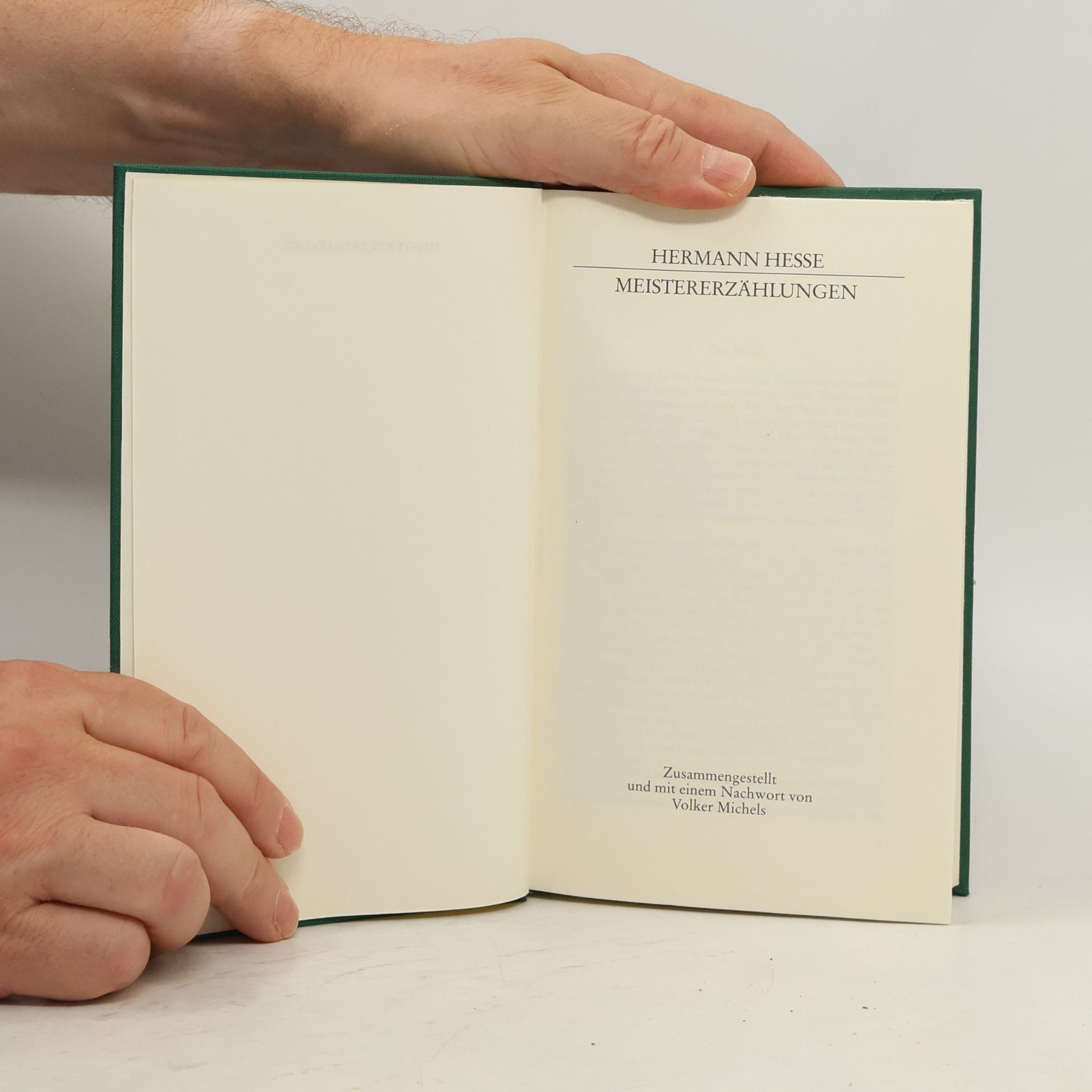 Hermann Hesse Meistererzählungen