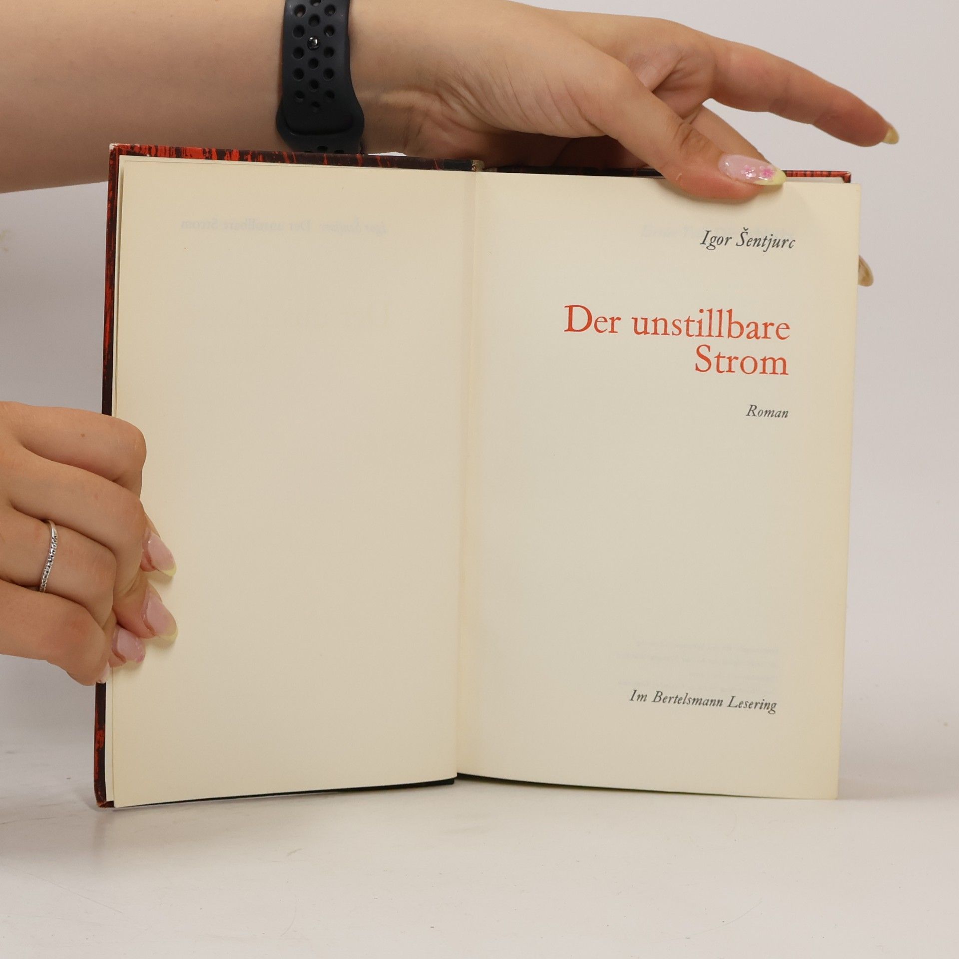 Igor Šentjurc Der unstillbare Strom