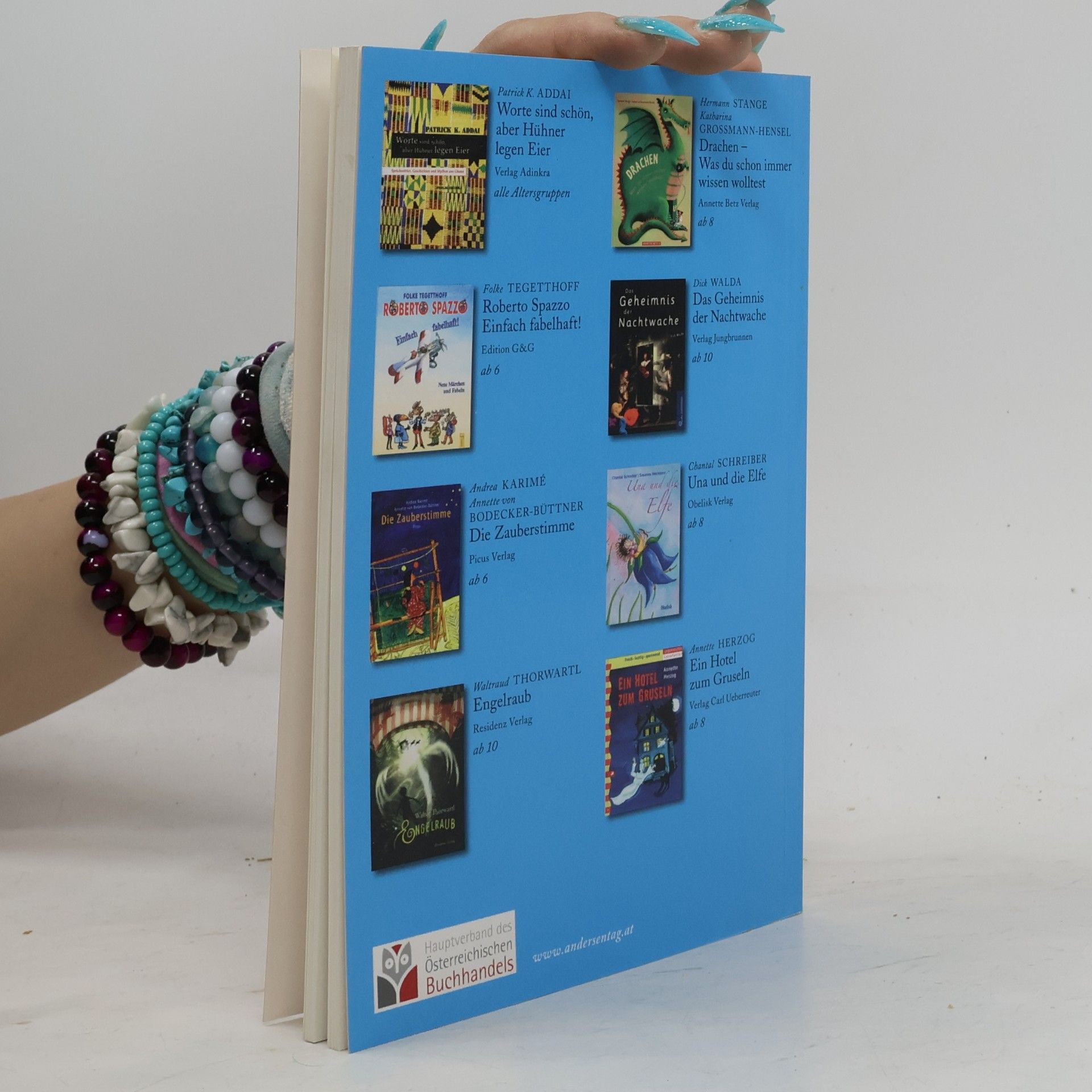 Kolektiv autorů Andersentag Buch 2008