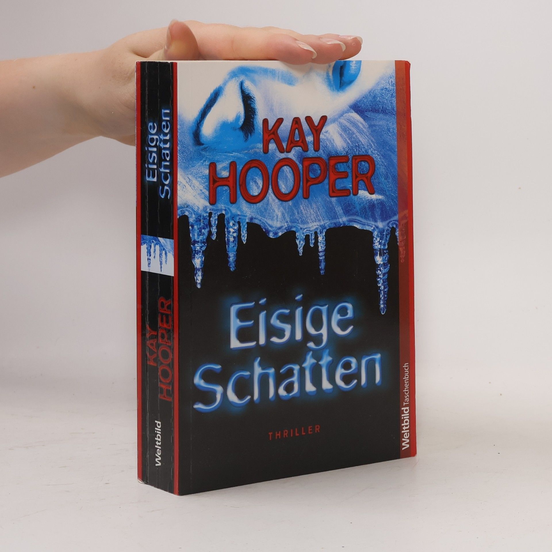 Kay Hooper Eisige Schatten