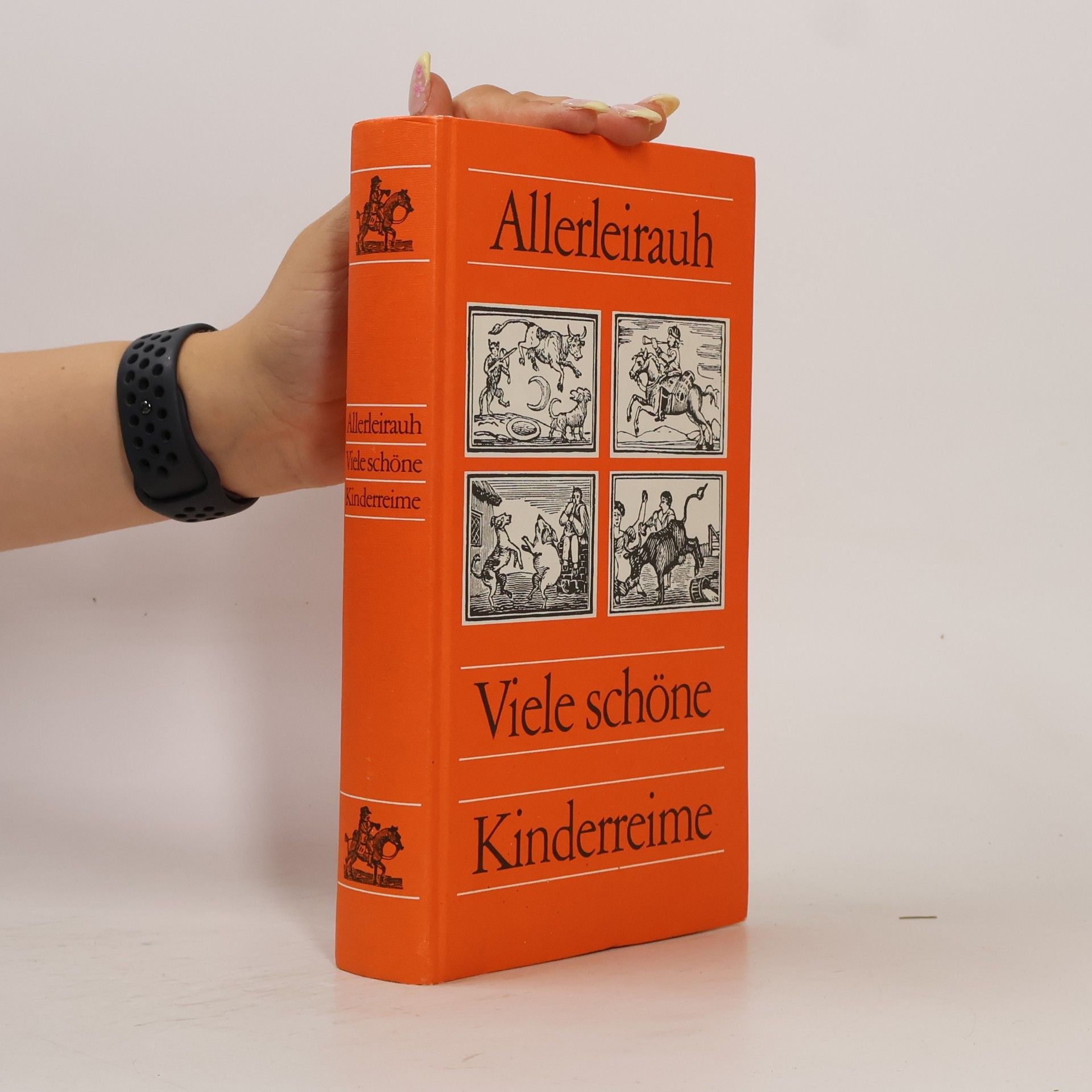 bratři Grimmové Allerleirauh. Viele schöne Kinderreime