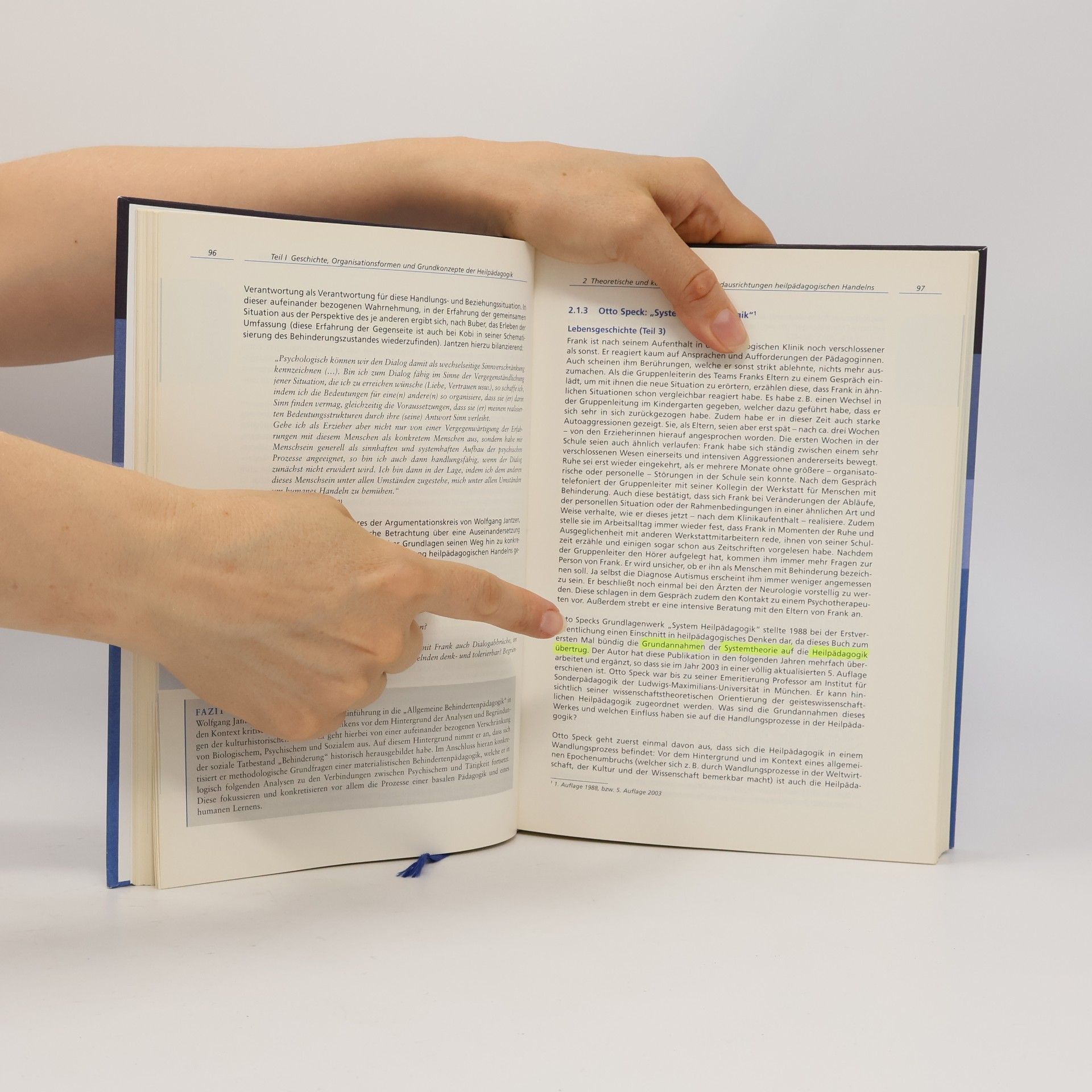 Heinrich Greving Handbuch Heilpädagogik