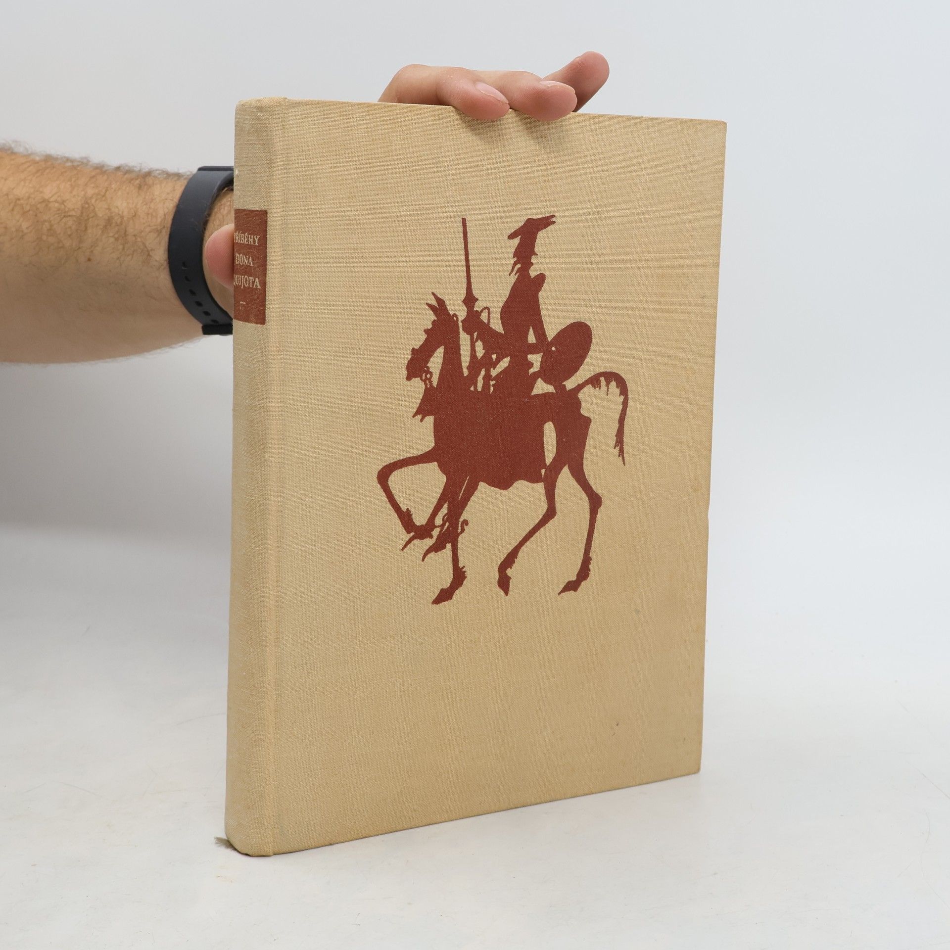 Miguel de Cervantes y Saavedra Příběhy Dona Quijota